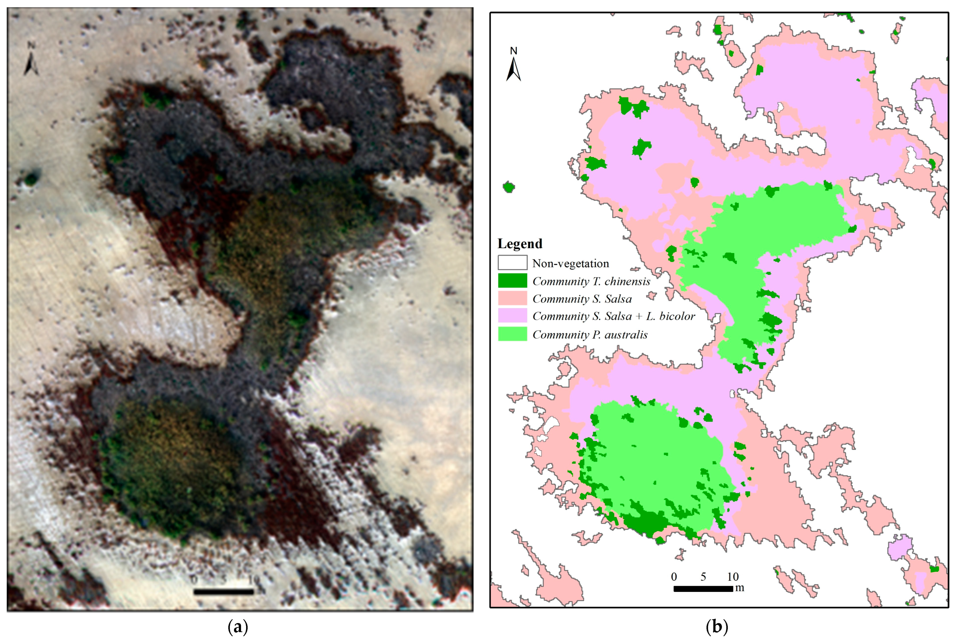 Remotesensing 16 03495 g006