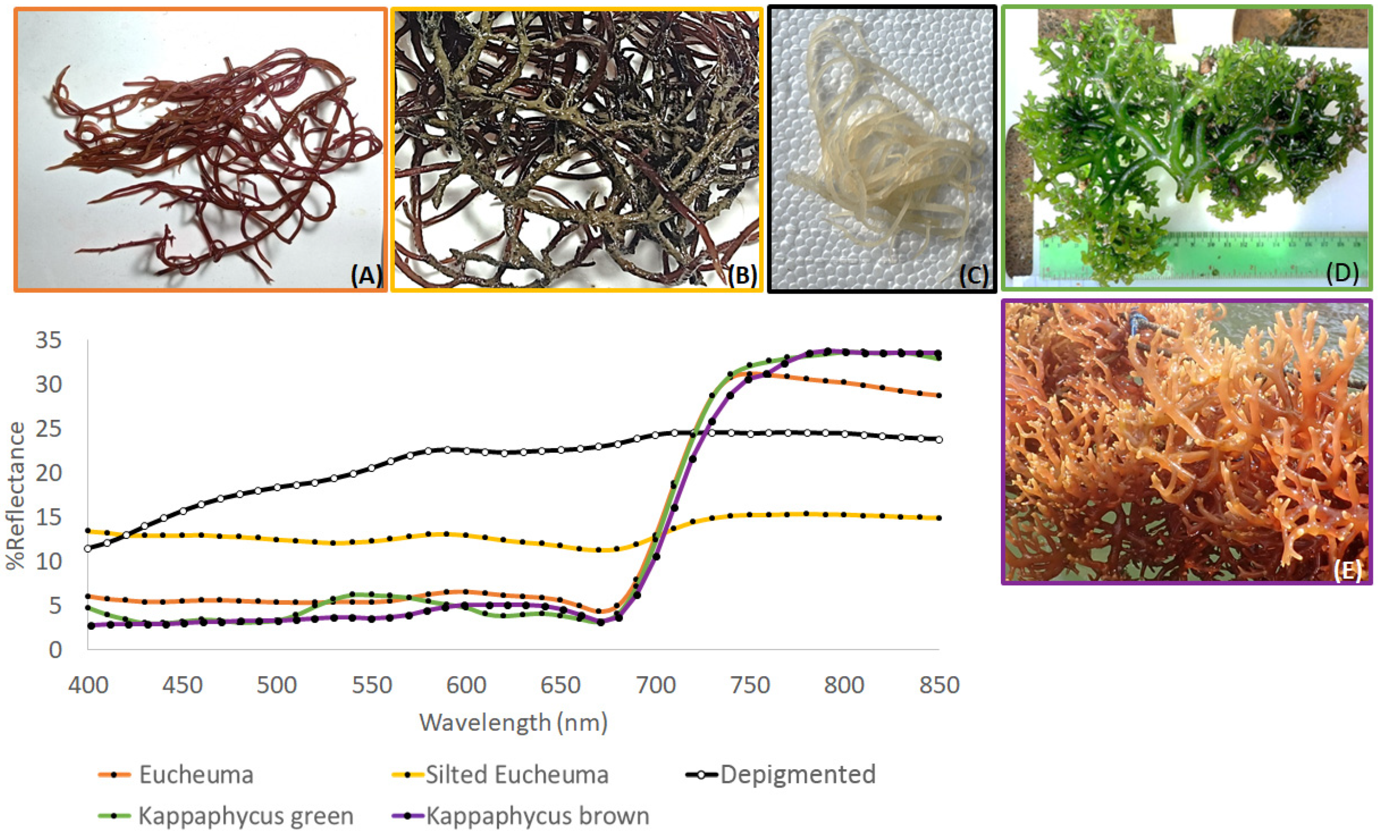 Remotesensing 16 03502 g001