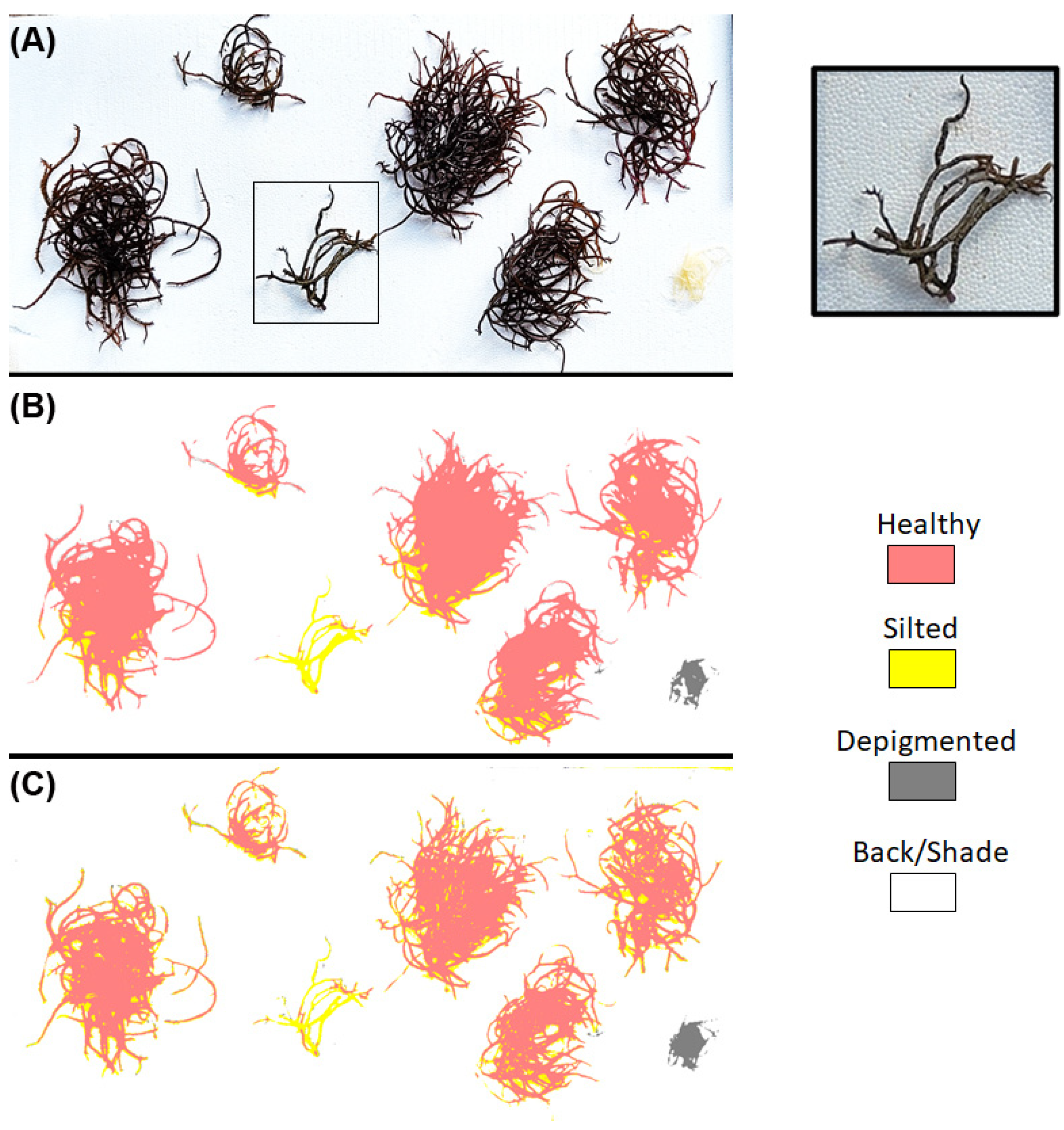 Remotesensing 16 03502 g010