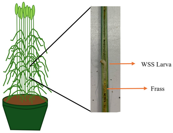 Remotesensing 16 03505 g0a1