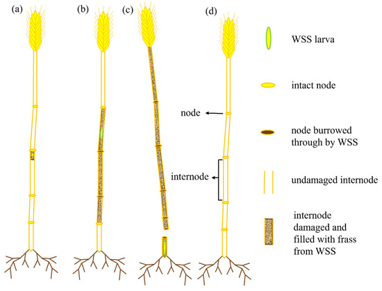 Remotesensing 16 03505 g0a2