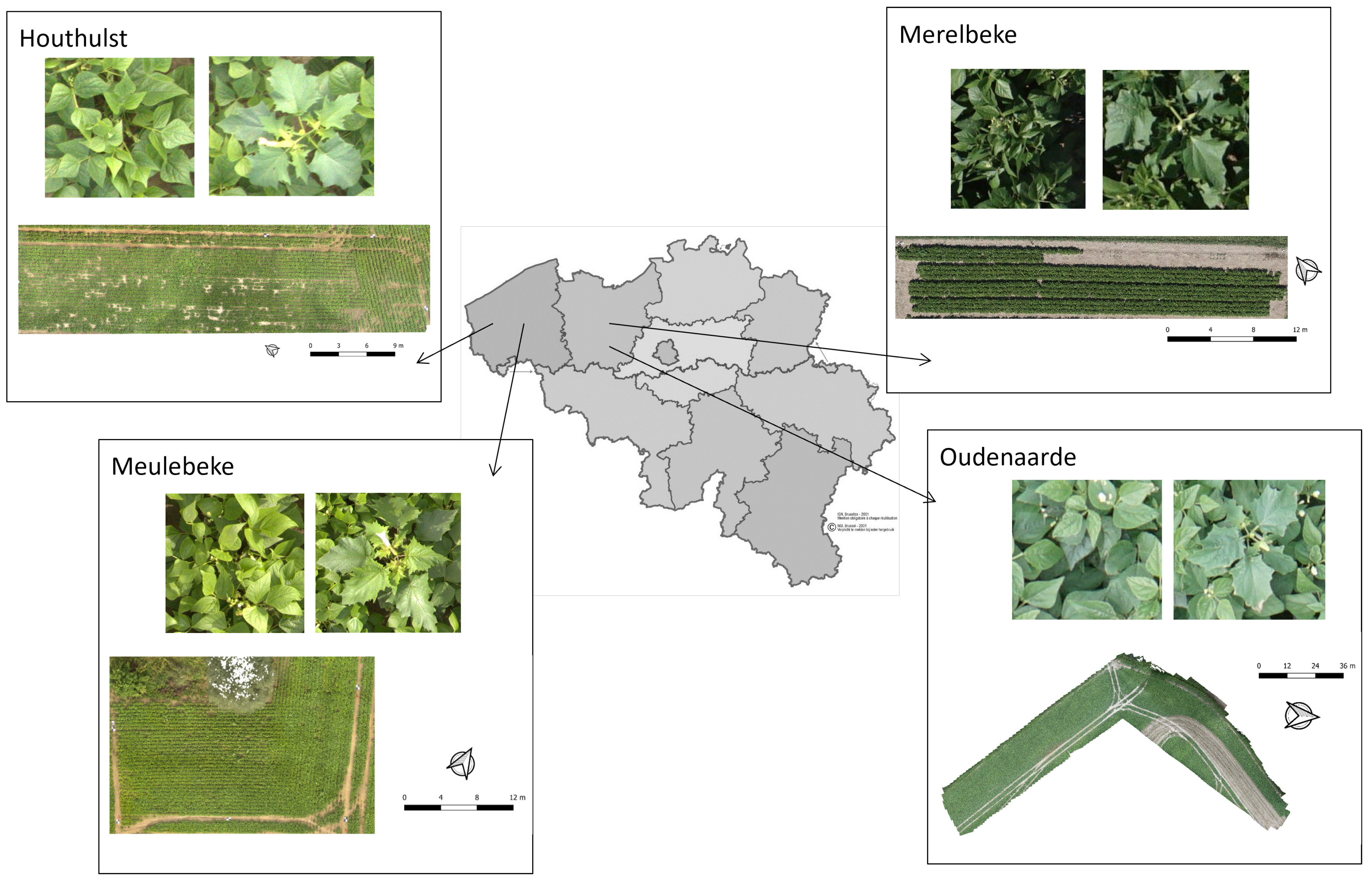 Remotesensing 16 03538 g001 Remotesensing 16 03538 g001