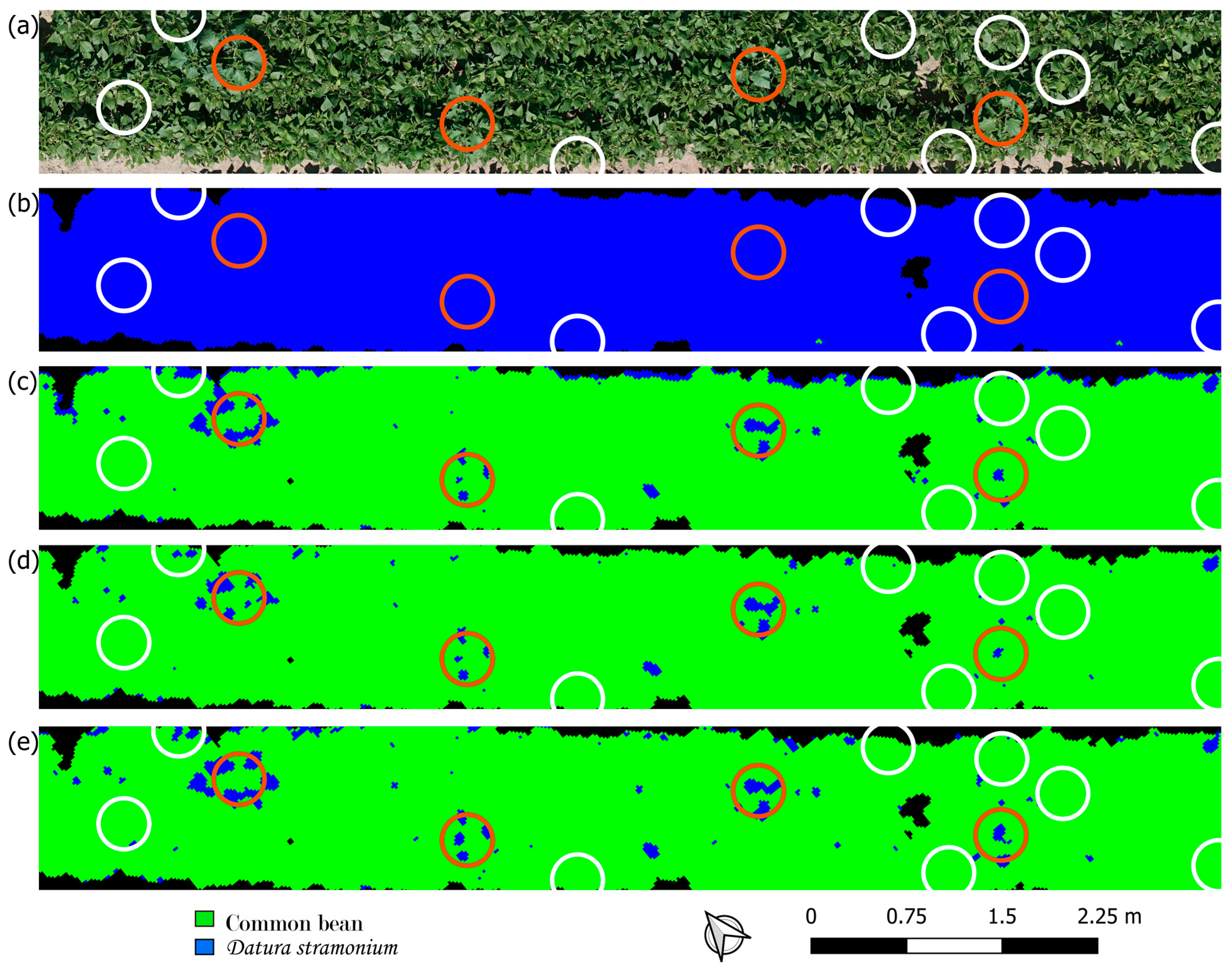 Remotesensing 16 03538 g004 Remotesensing 16 03538 g004