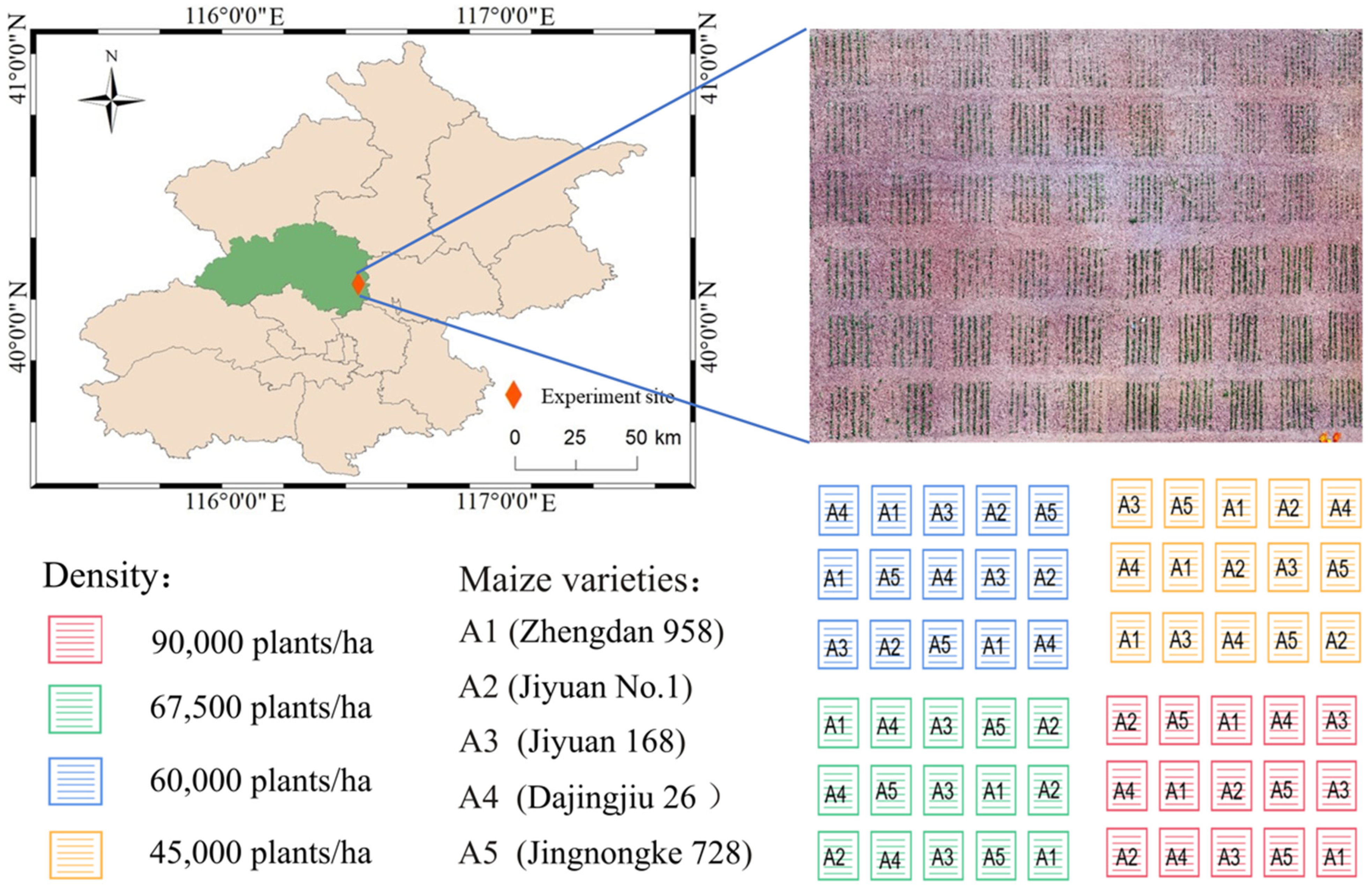 Remotesensing 16 03548 g002 Remotesensing 16 03548 g002