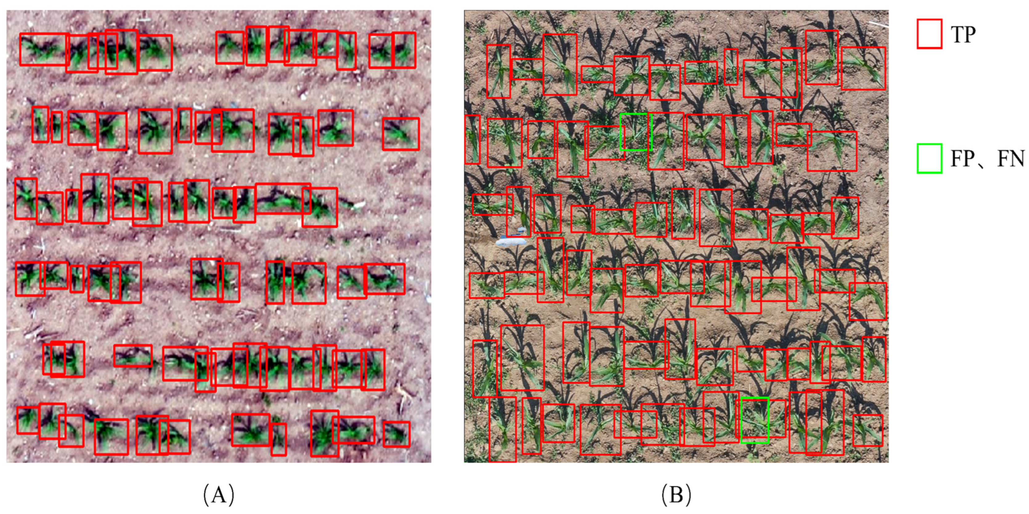 Remotesensing 16 03548 g007 Remotesensing 16 03548 g007