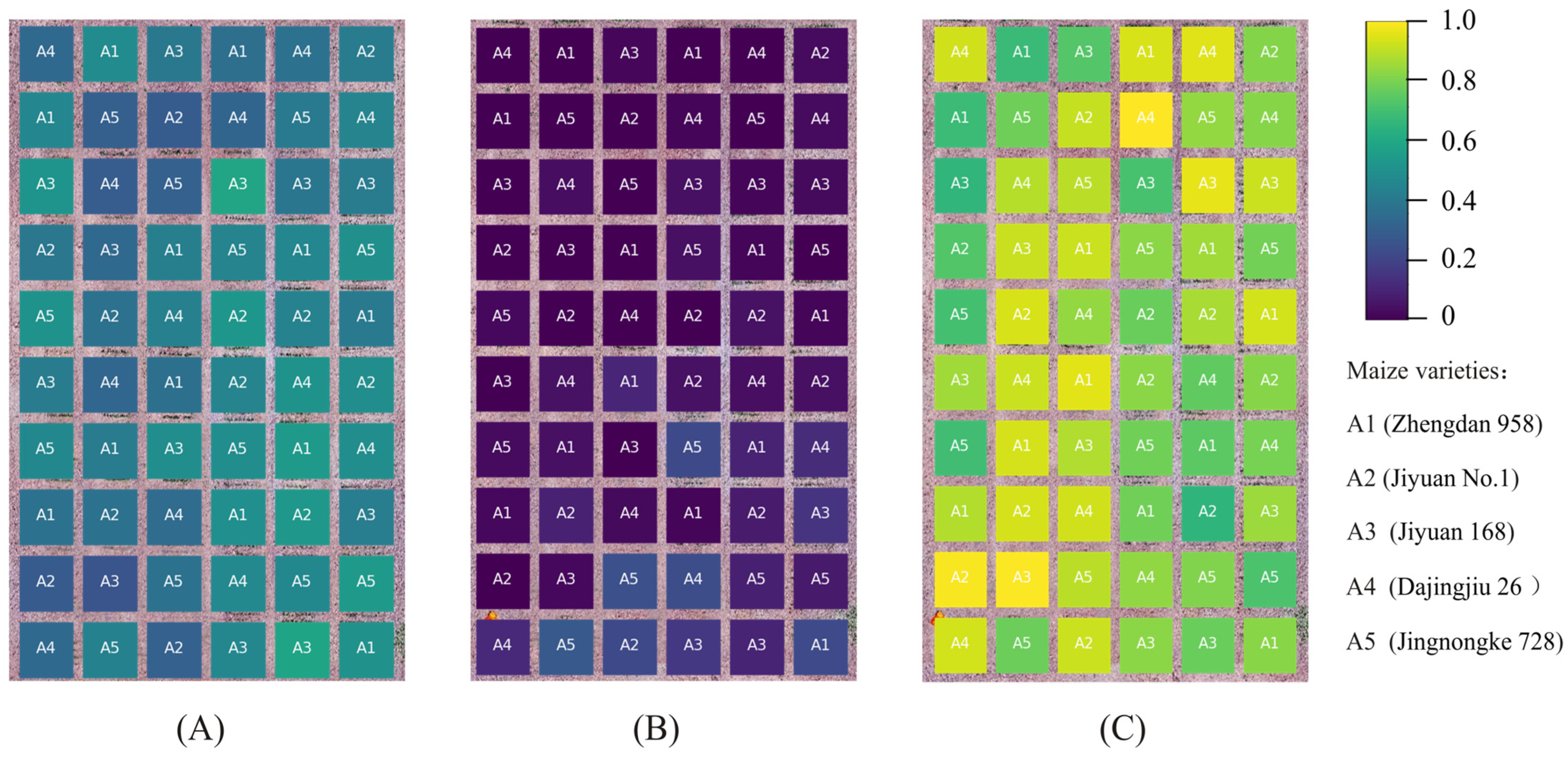 Remotesensing 16 03548 g011 Remotesensing 16 03548 g011