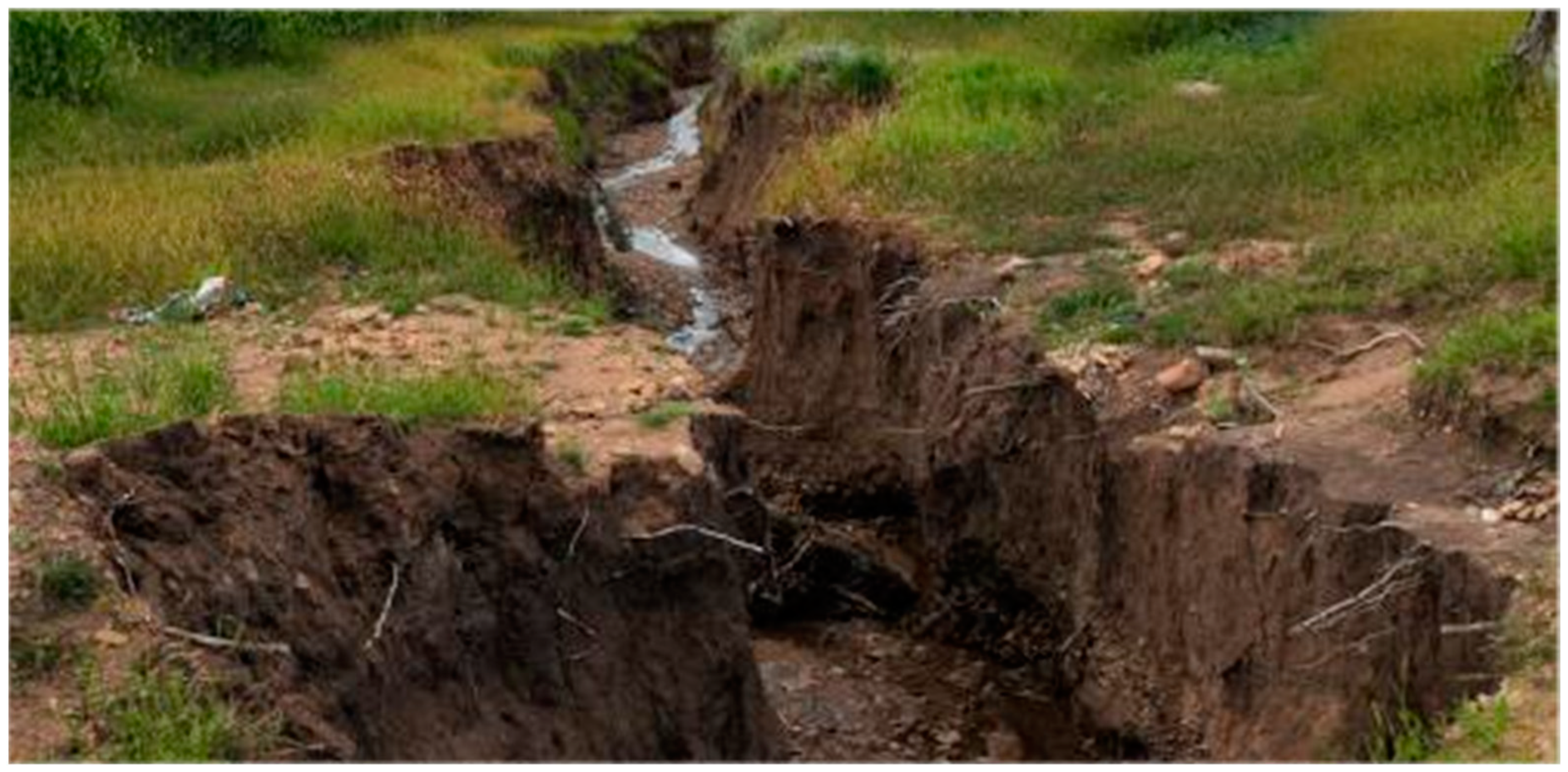 Remotesensing 16 03562 g002