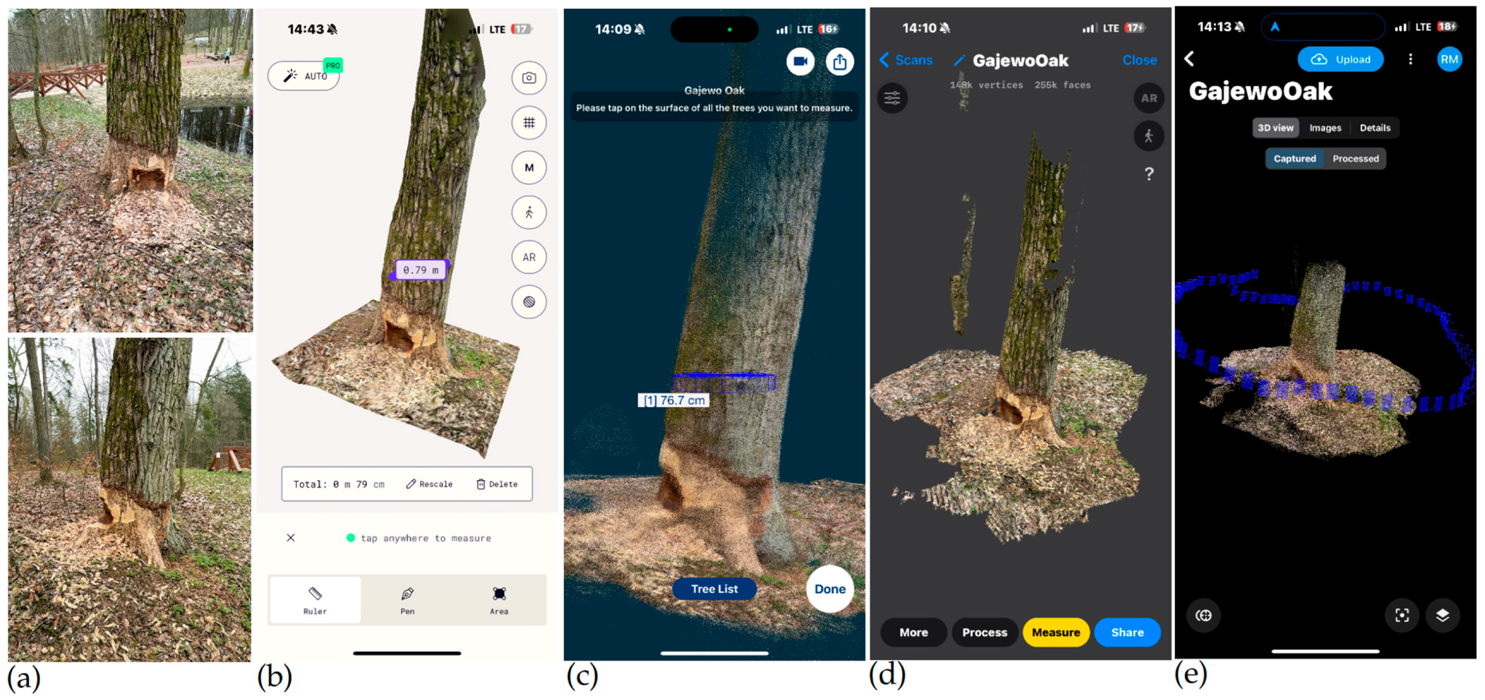 Remotesensing 16 03570 g005