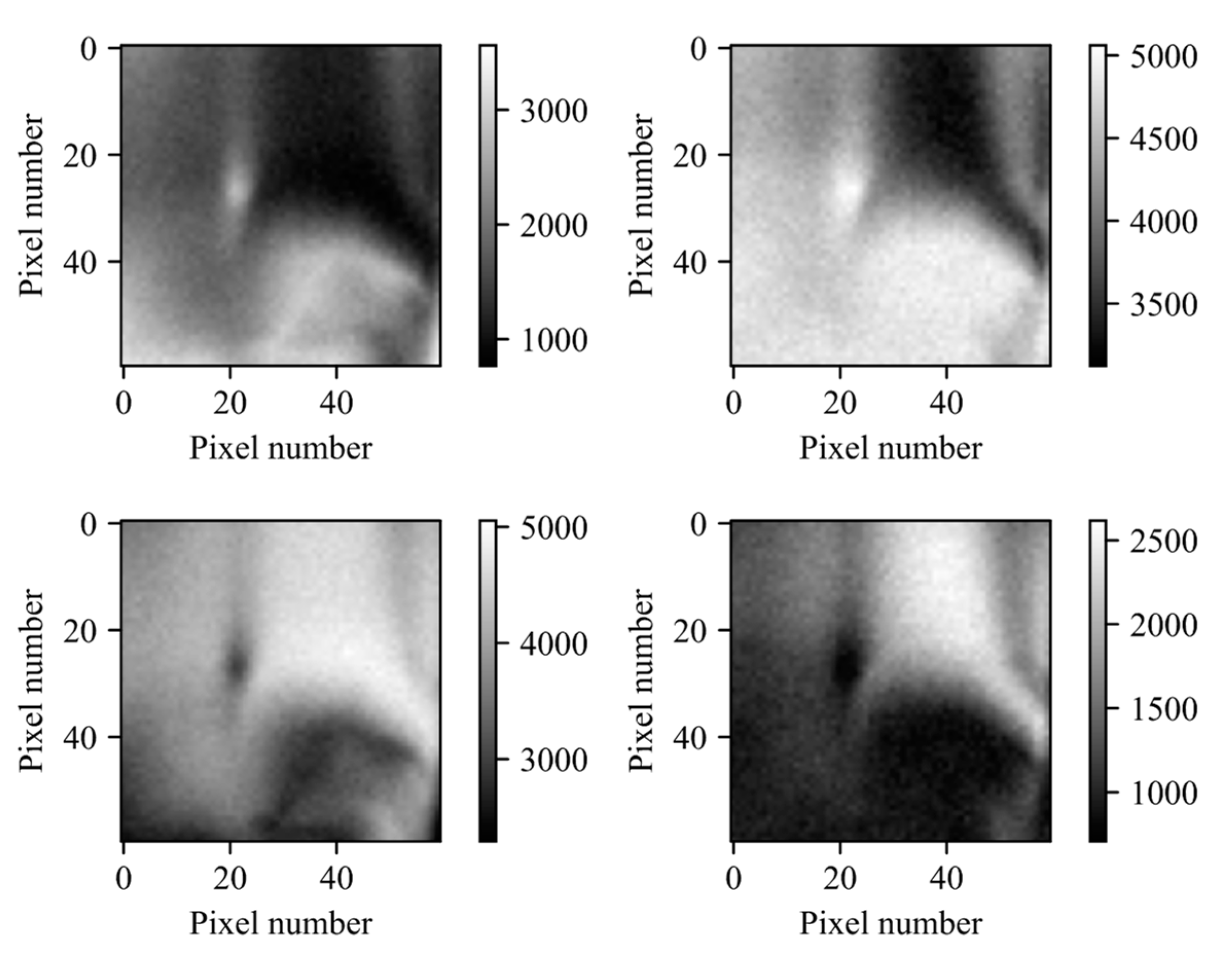 Remotesensing 16 03591 g010