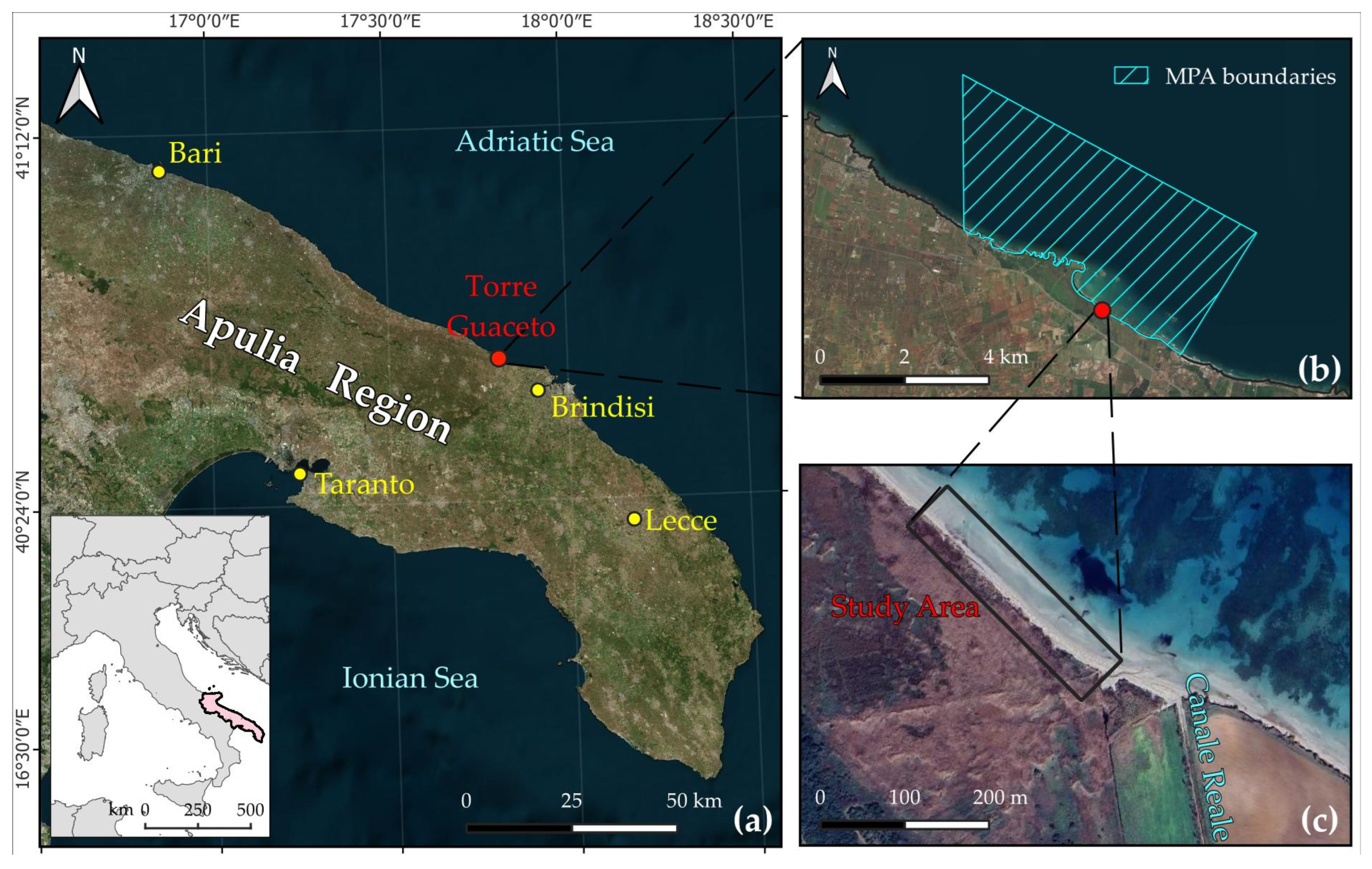 Remotesensing 16 03617 g001