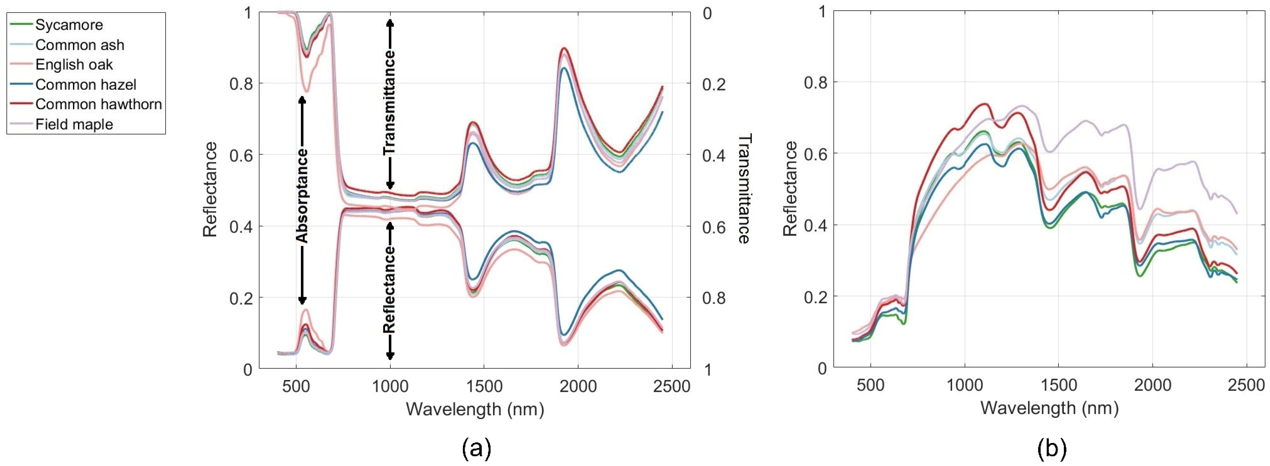 Remotesensing 16 03639 g002