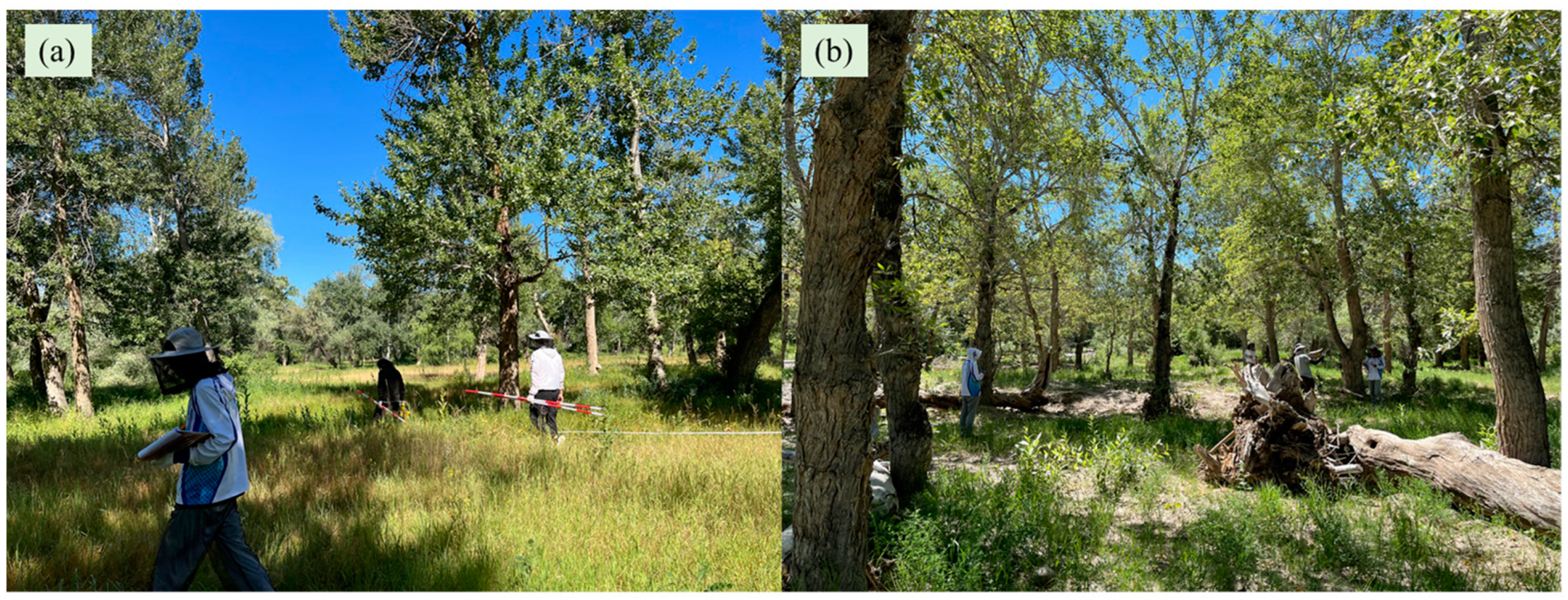 Remotesensing 16 03648 g002