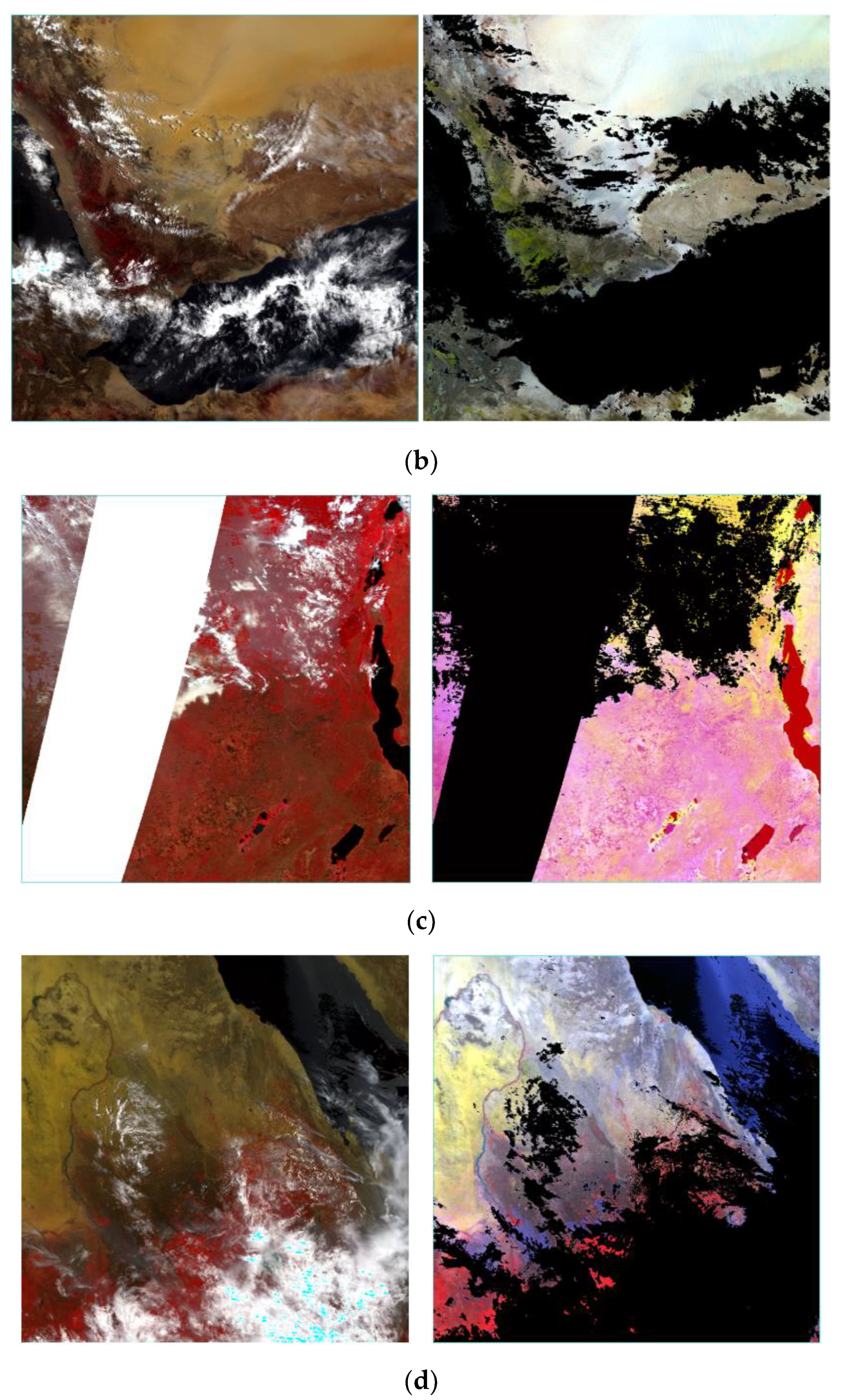 Remotesensing 16 03665 g006b