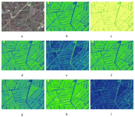 Remotesensing 16 03680 g0a1