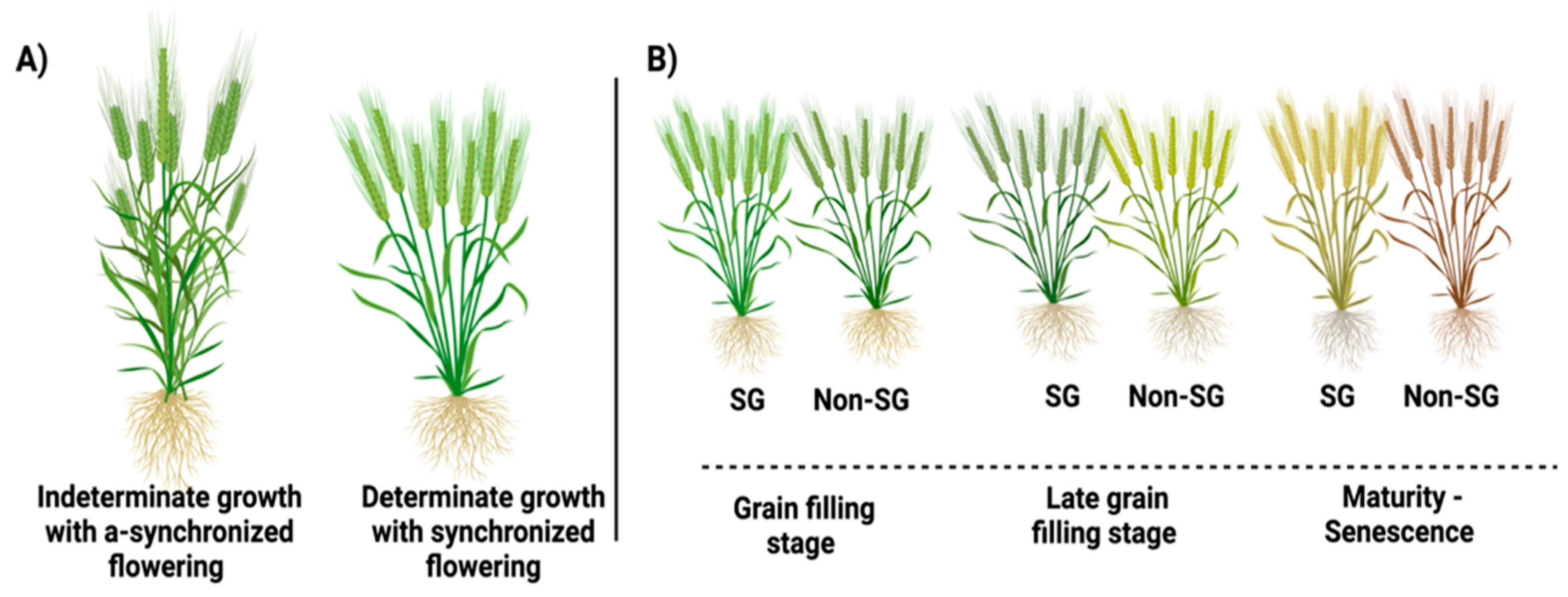 Remotesensing 16 03710 g003