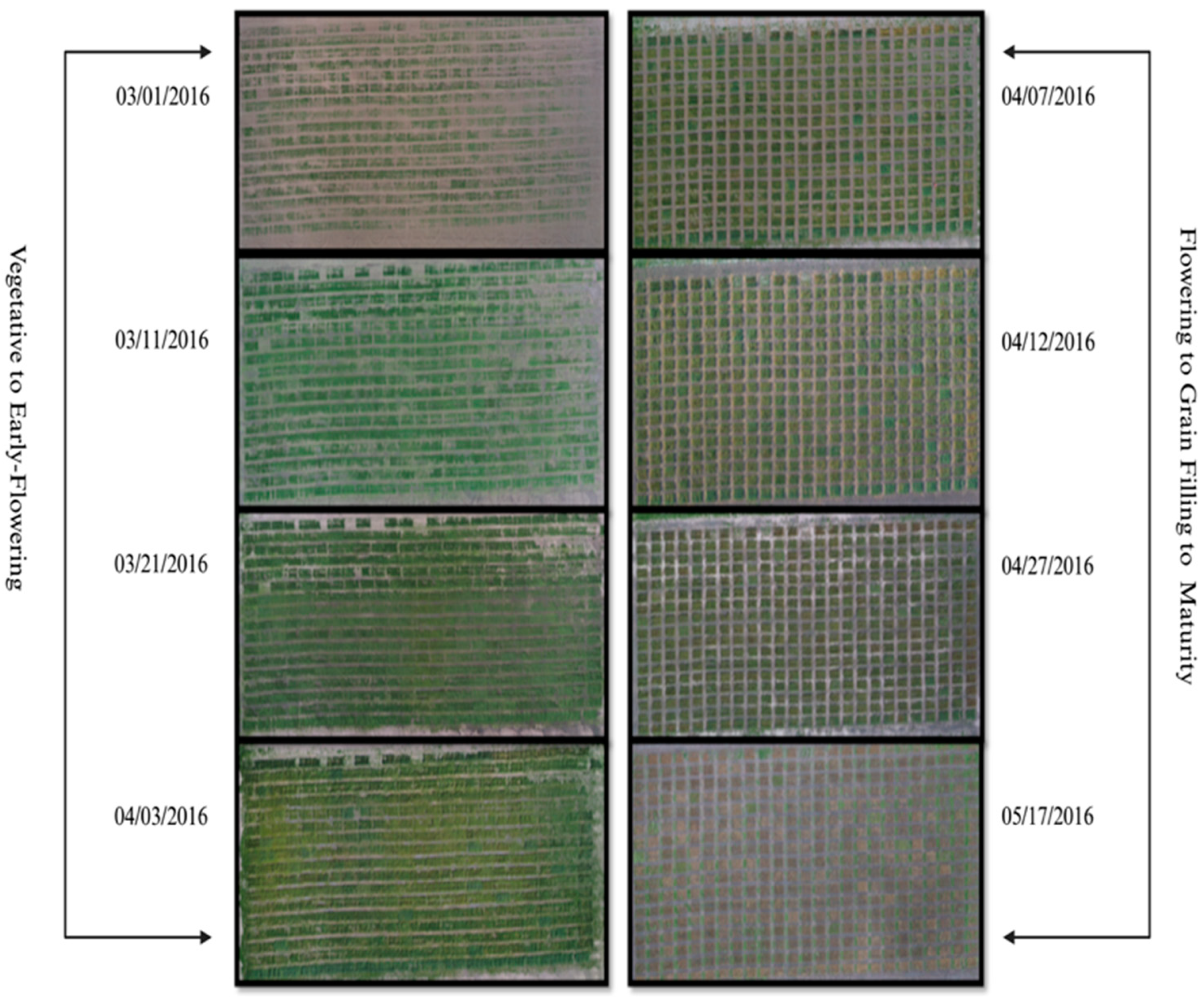 Remotesensing 16 03710 g005