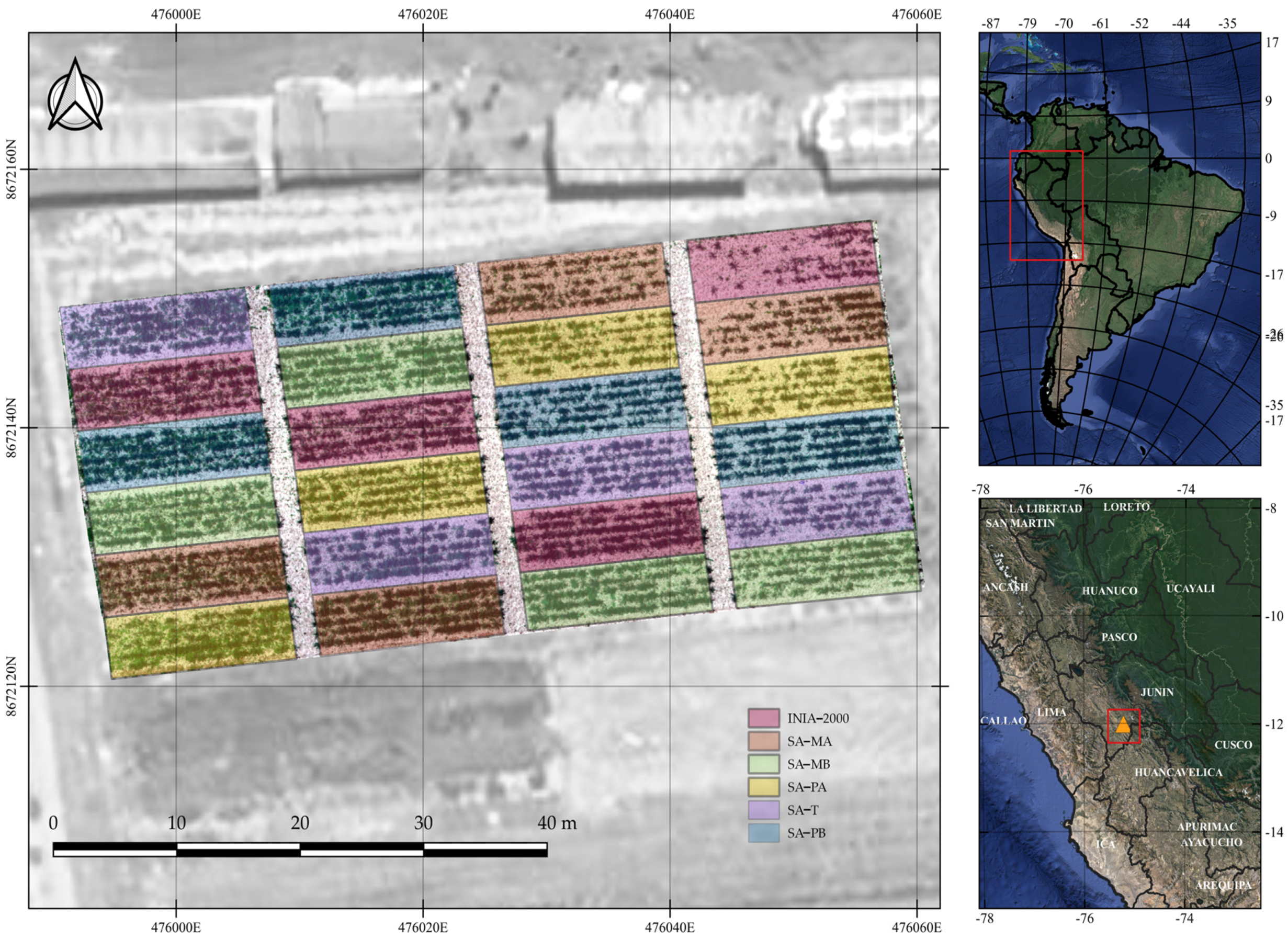 Remotesensing 16 03720 g001