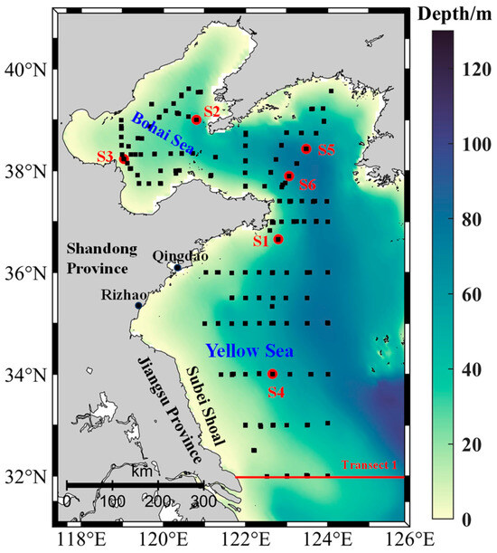Remotesensing 16 03736 g001