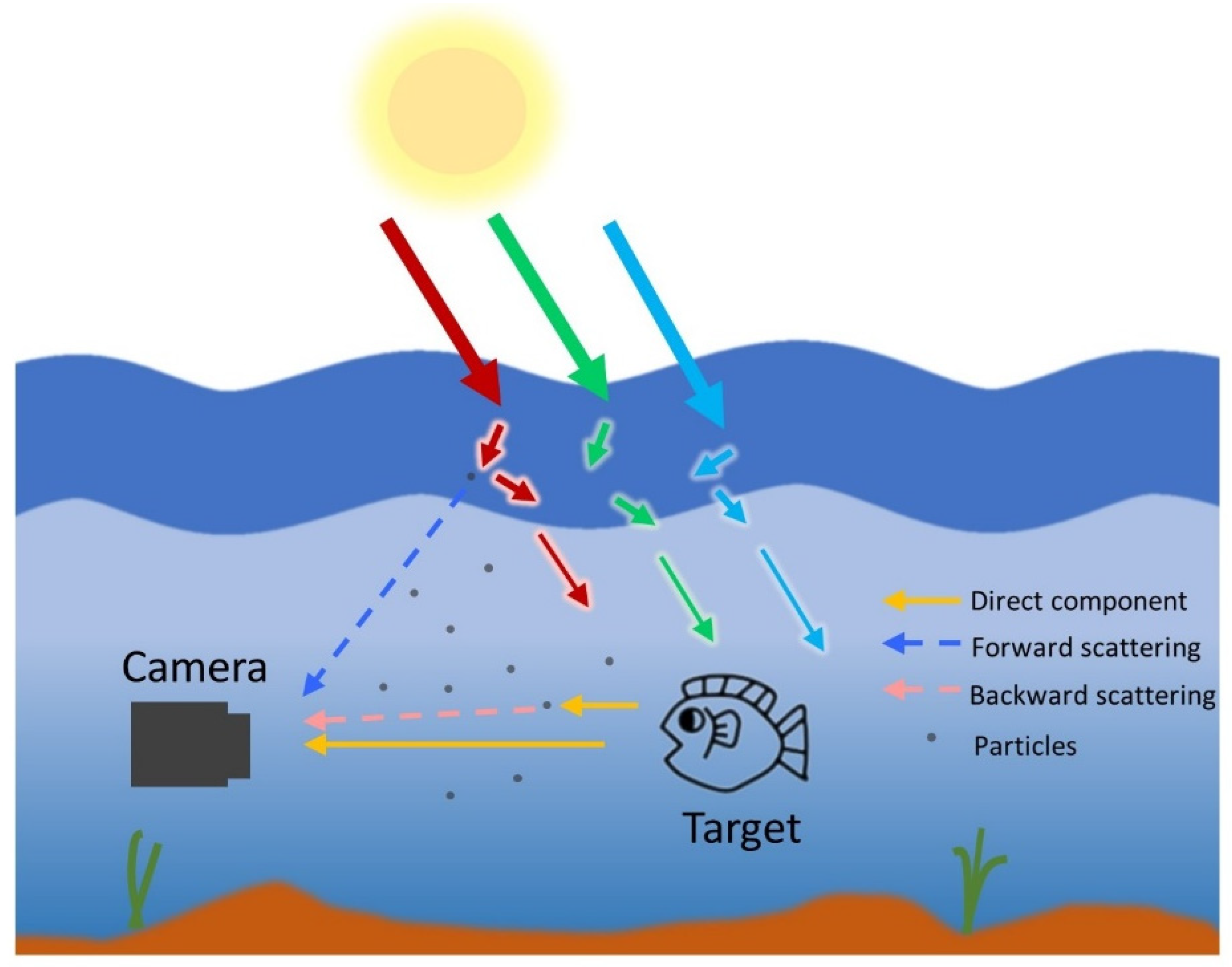 Remotesensing 16 03773 g001