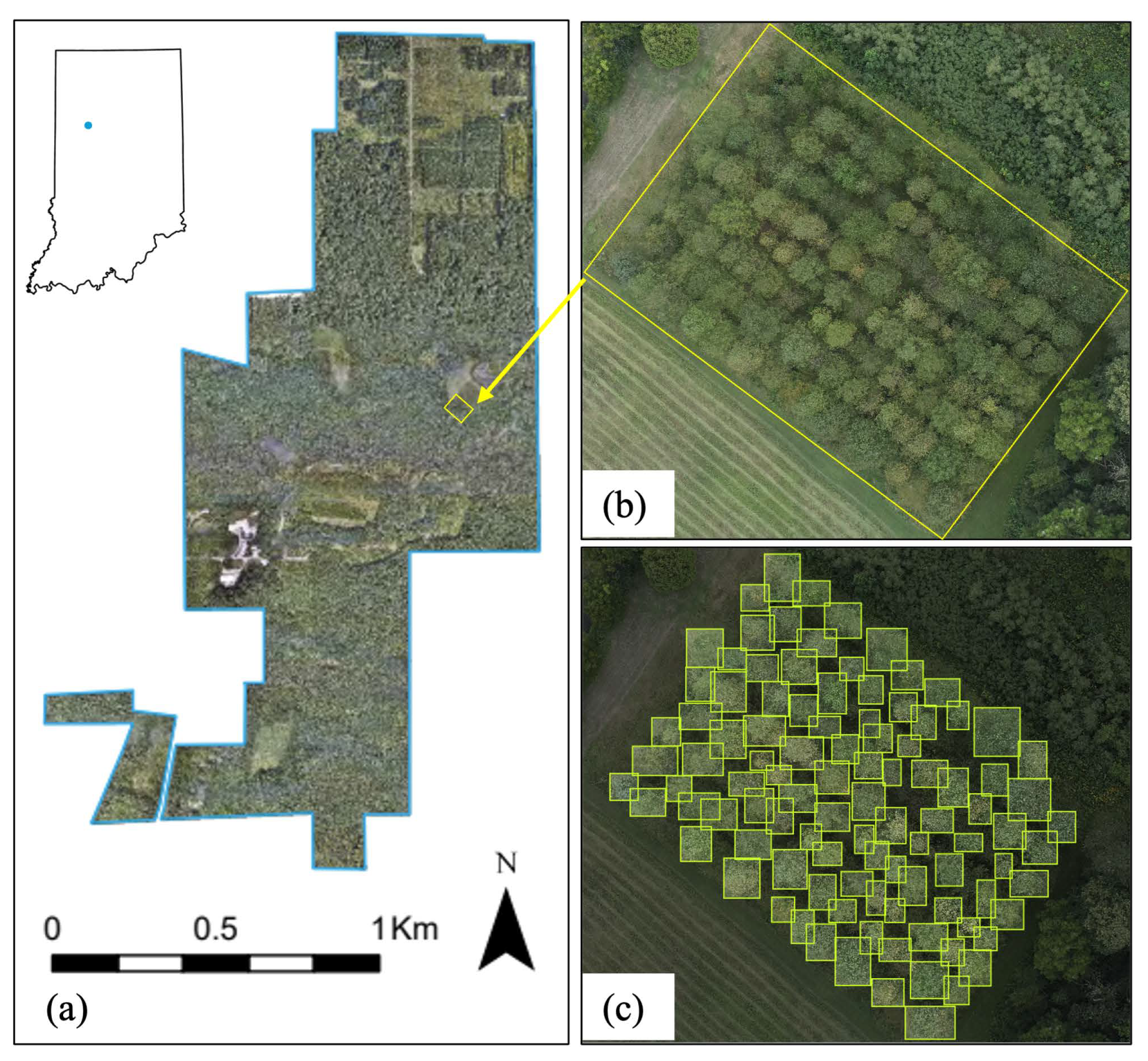 Remotesensing 16 03836 g002