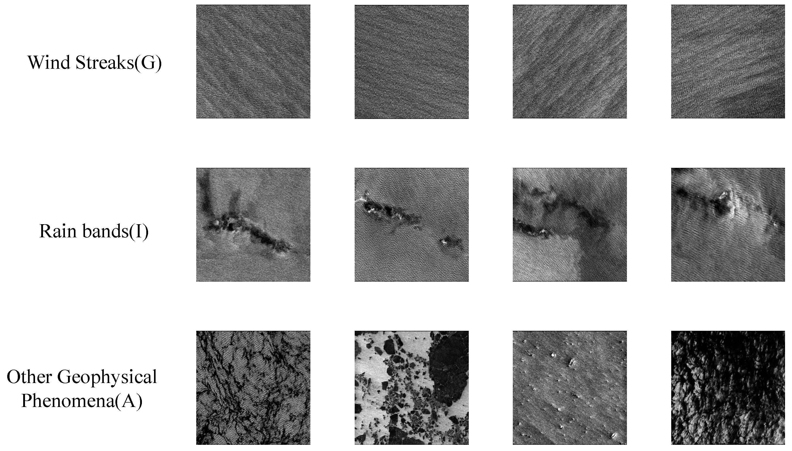 Remotesensing 16 03837 g001