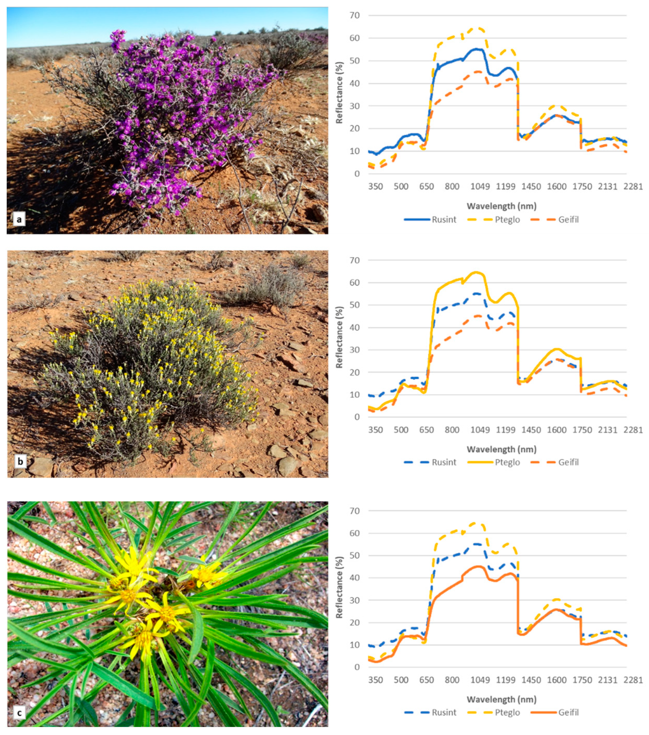 Remotesensing 16 03869 g001