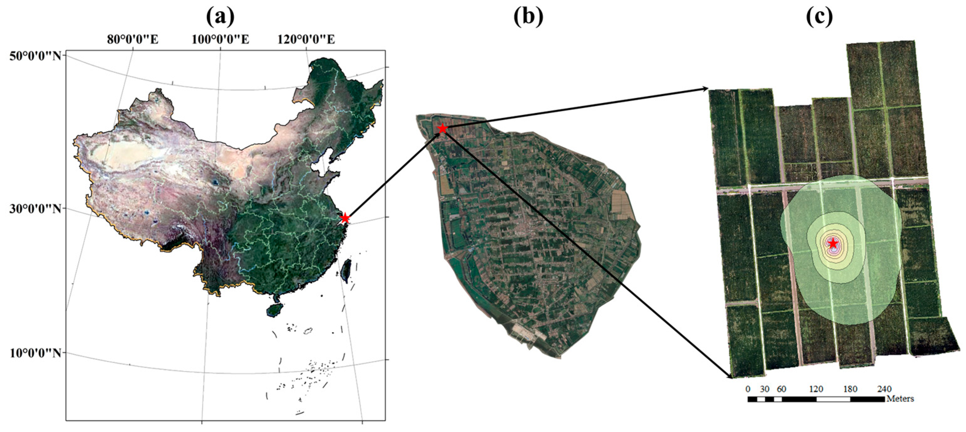 Remotesensing 16 03906 g002