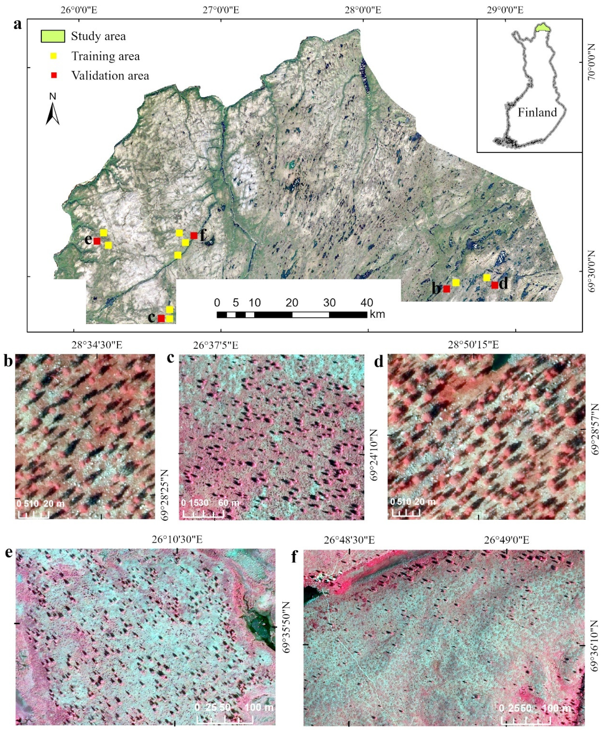 Remotesensing 16 03920 g001