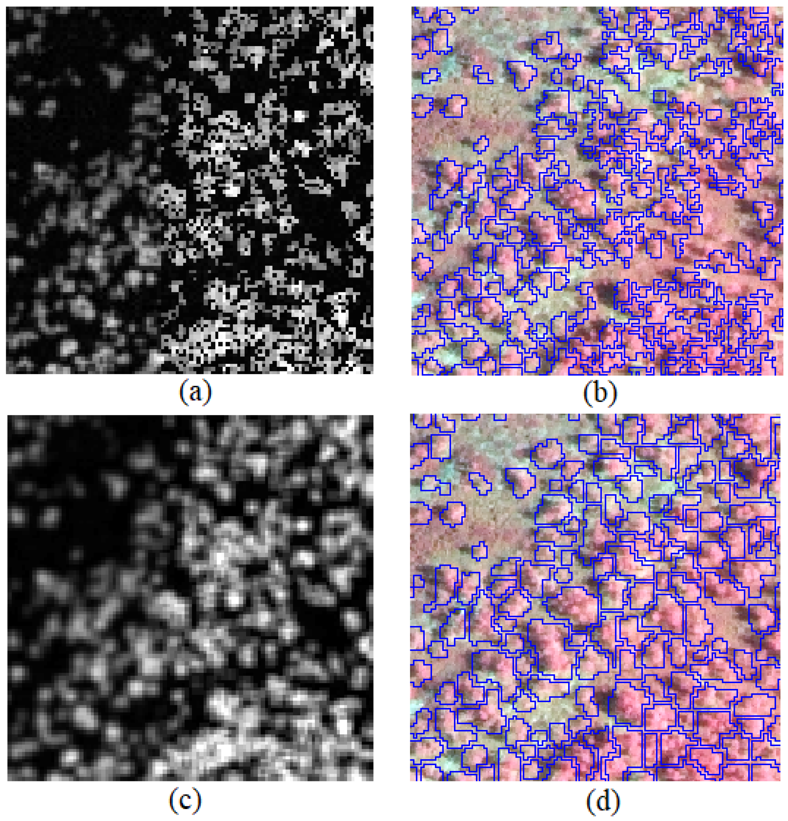 Remotesensing 16 03920 g003