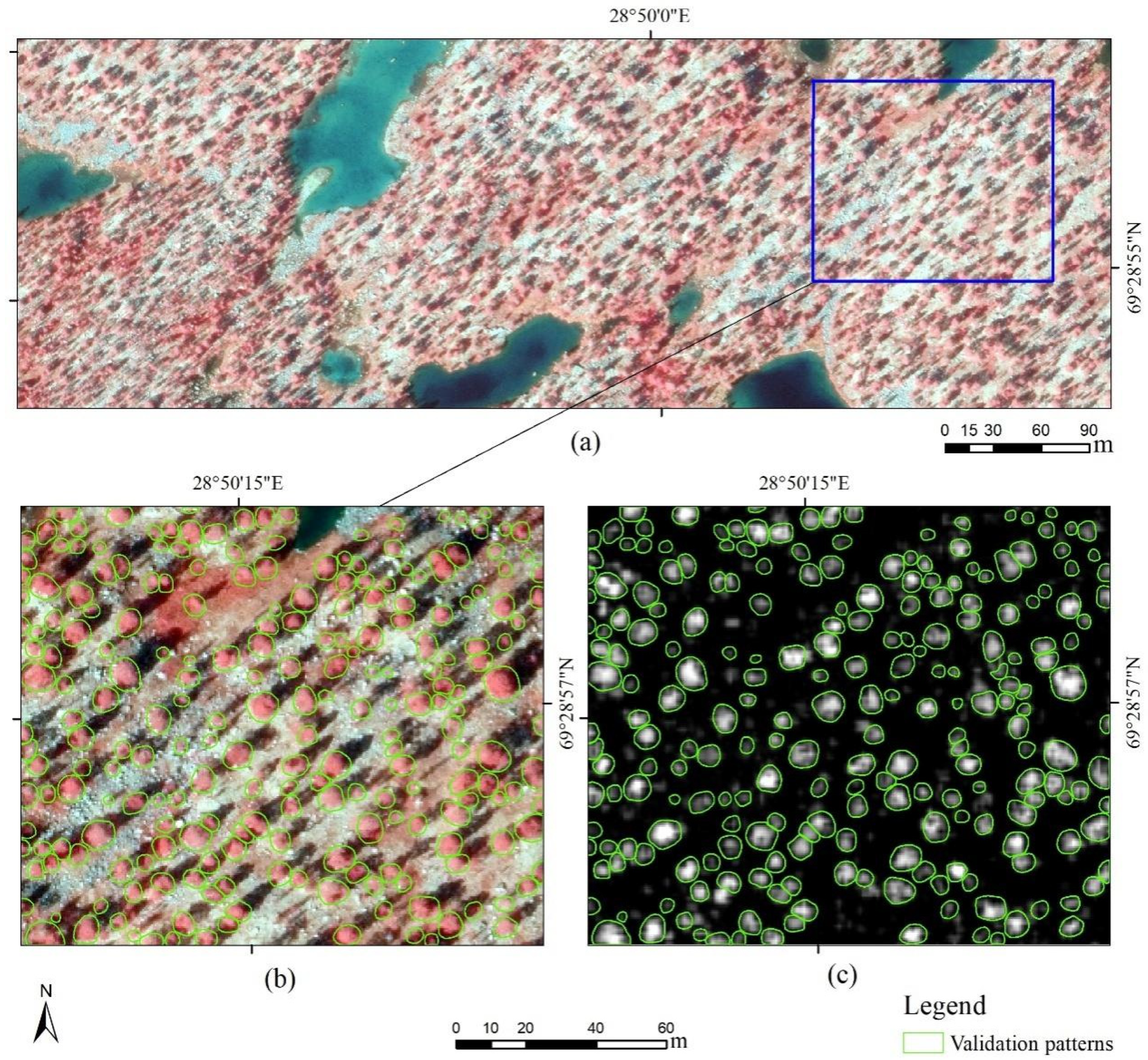 Remotesensing 16 03920 g004