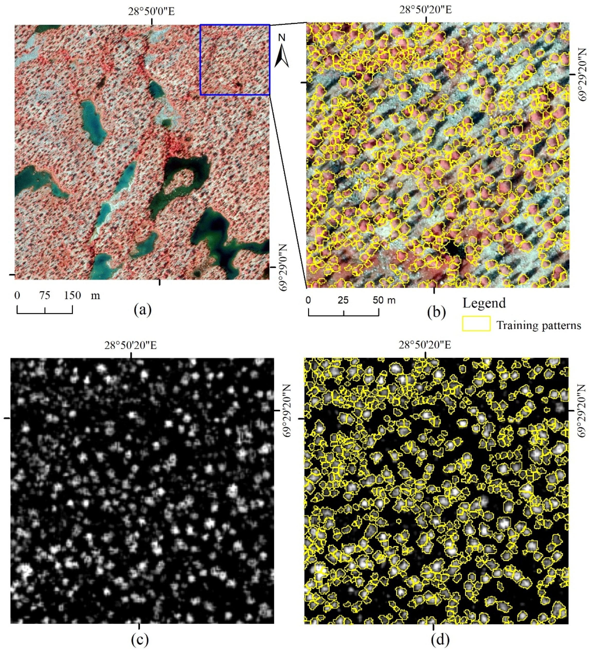 Remotesensing 16 03920 g007