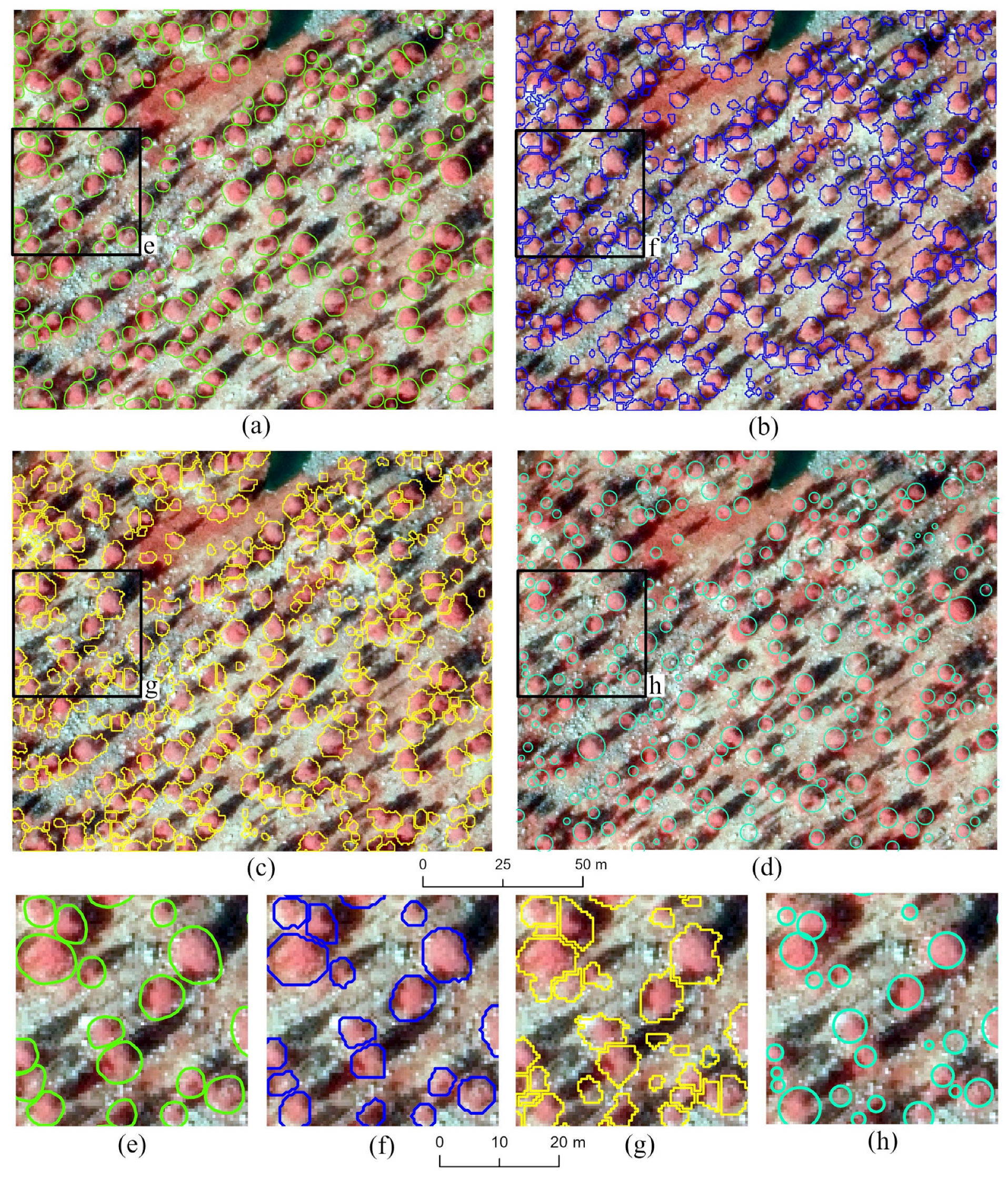 Remotesensing 16 03920 g012