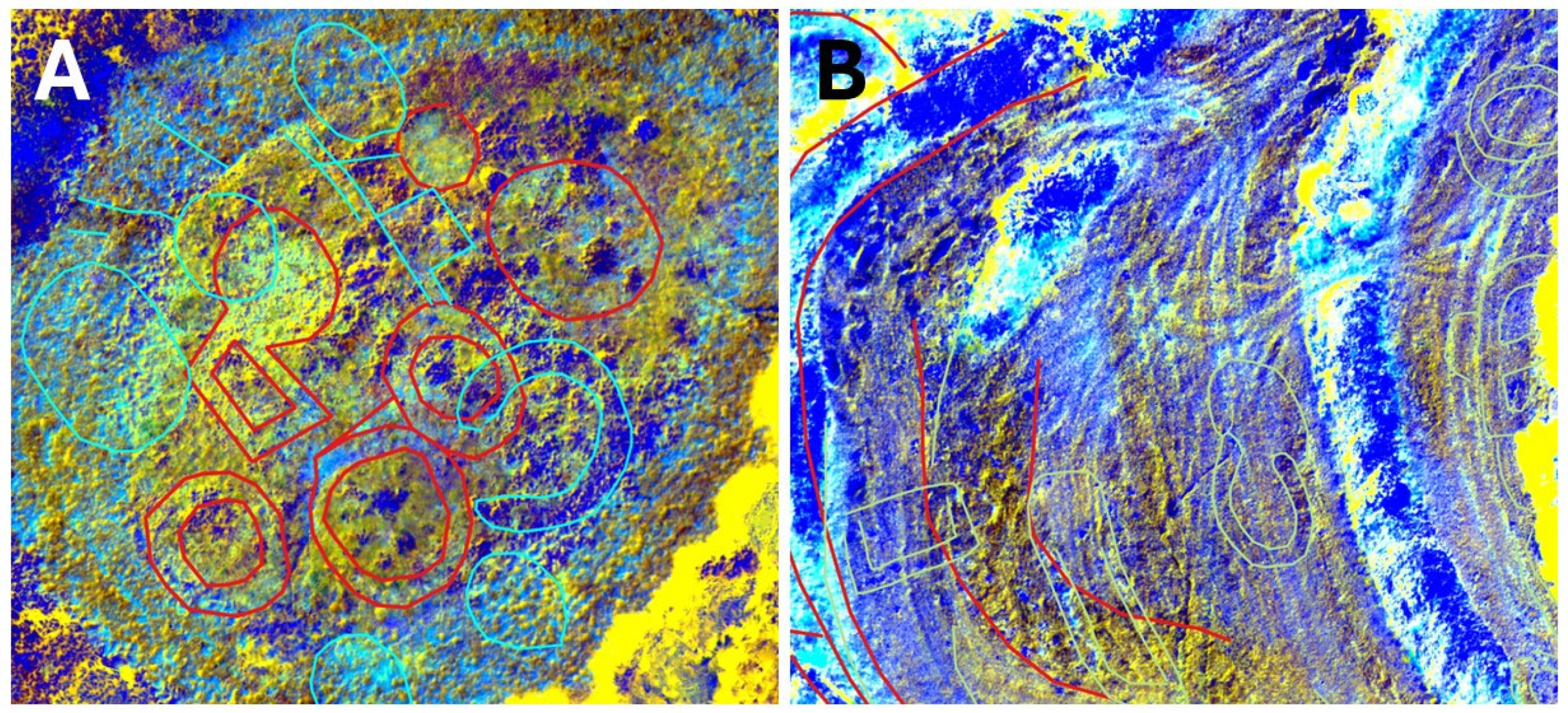 Remotesensing 16 03923 g006