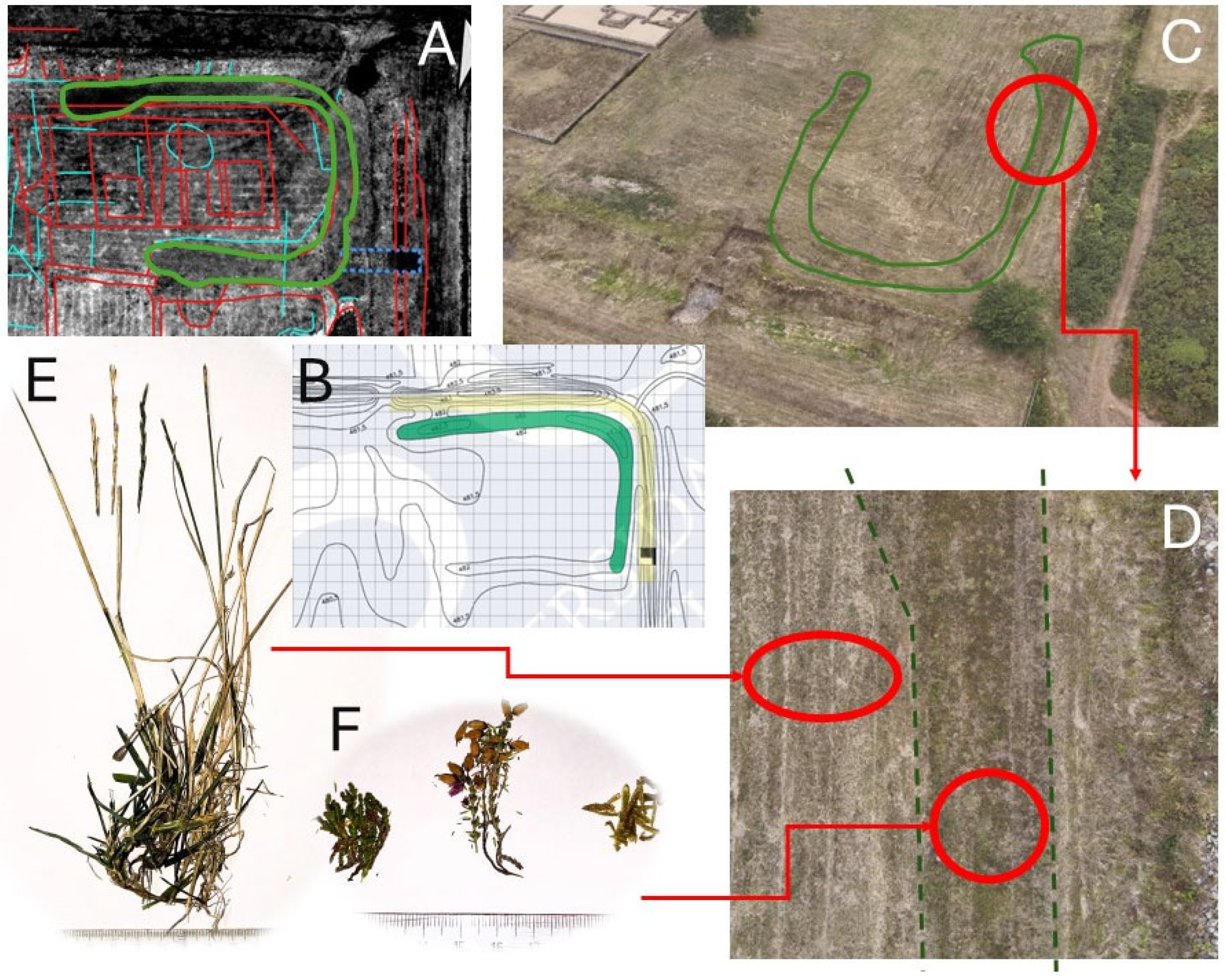 Remotesensing 16 03923 g013