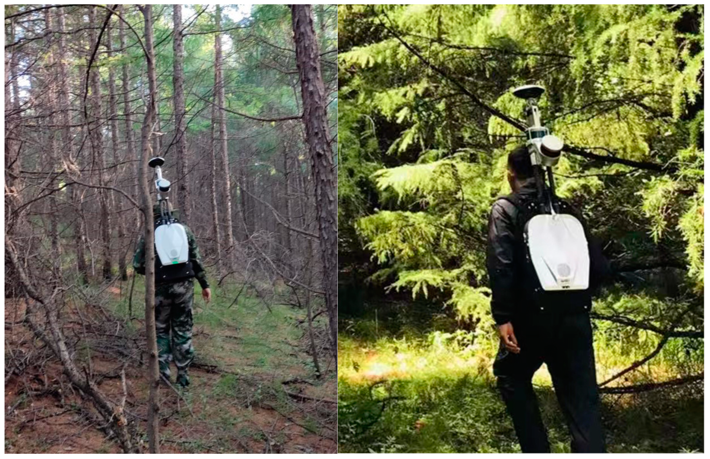 Remotesensing 16 03927 g003