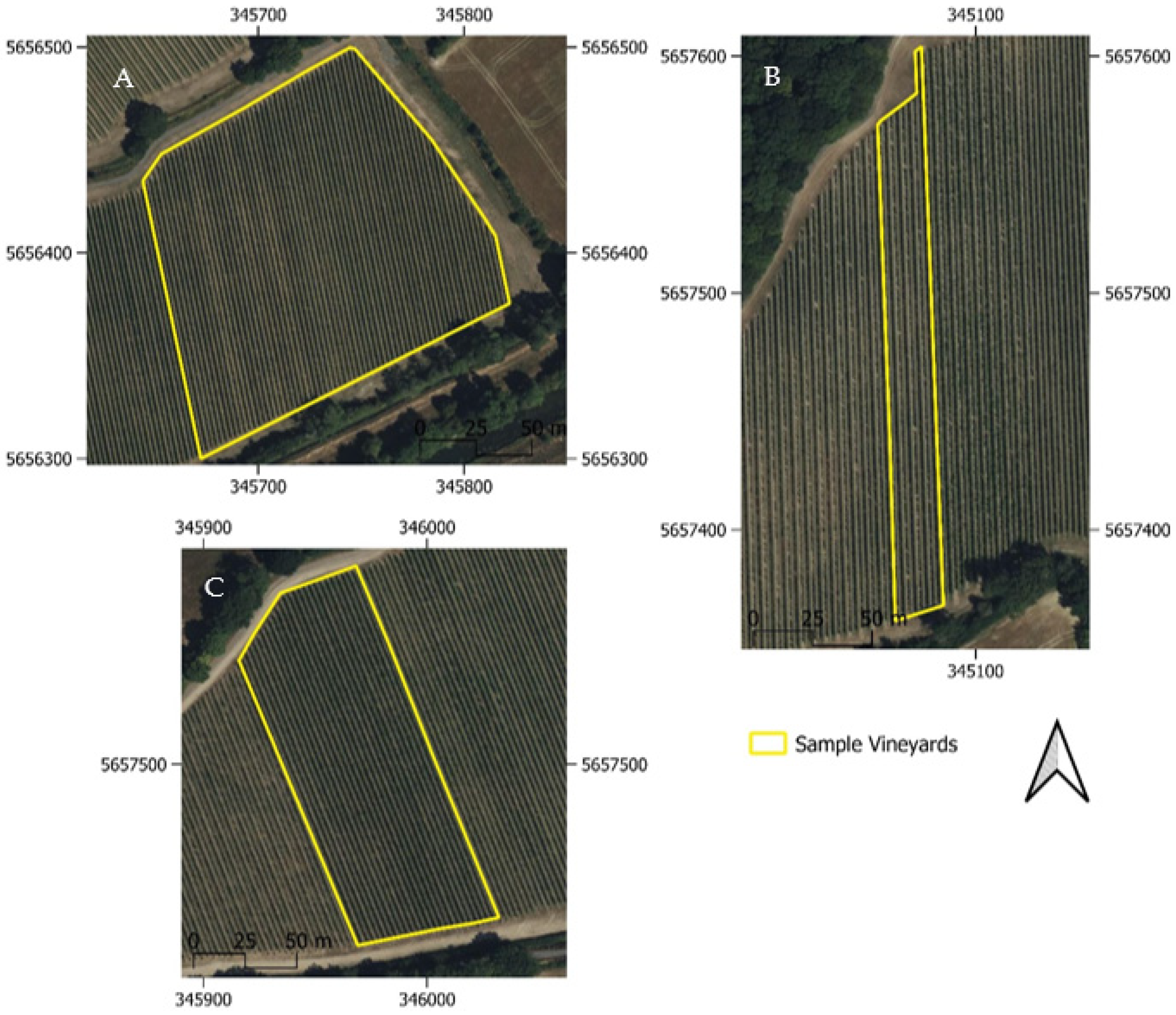 Remotesensing 16 03942 g001