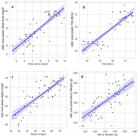 Remotesensing 16 03942 g005