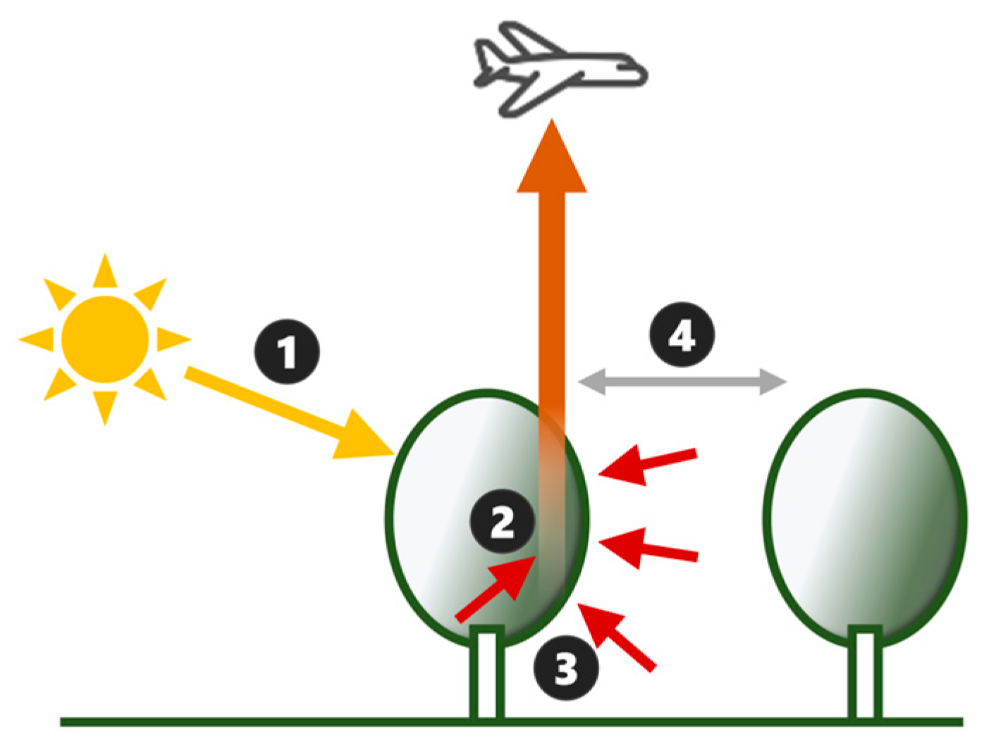 Remotesensing 16 03949 g009