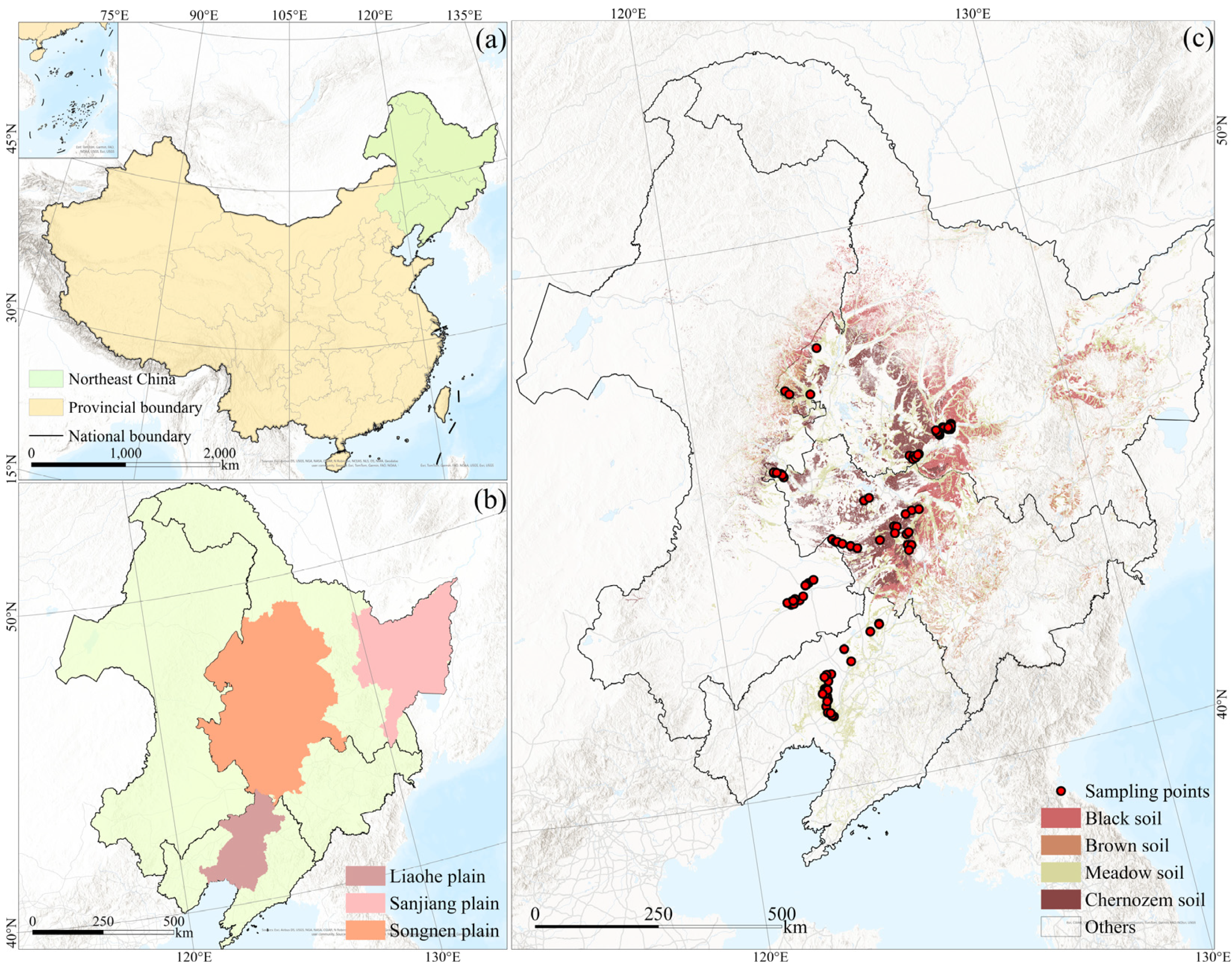 Remotesensing 16 03953 g001