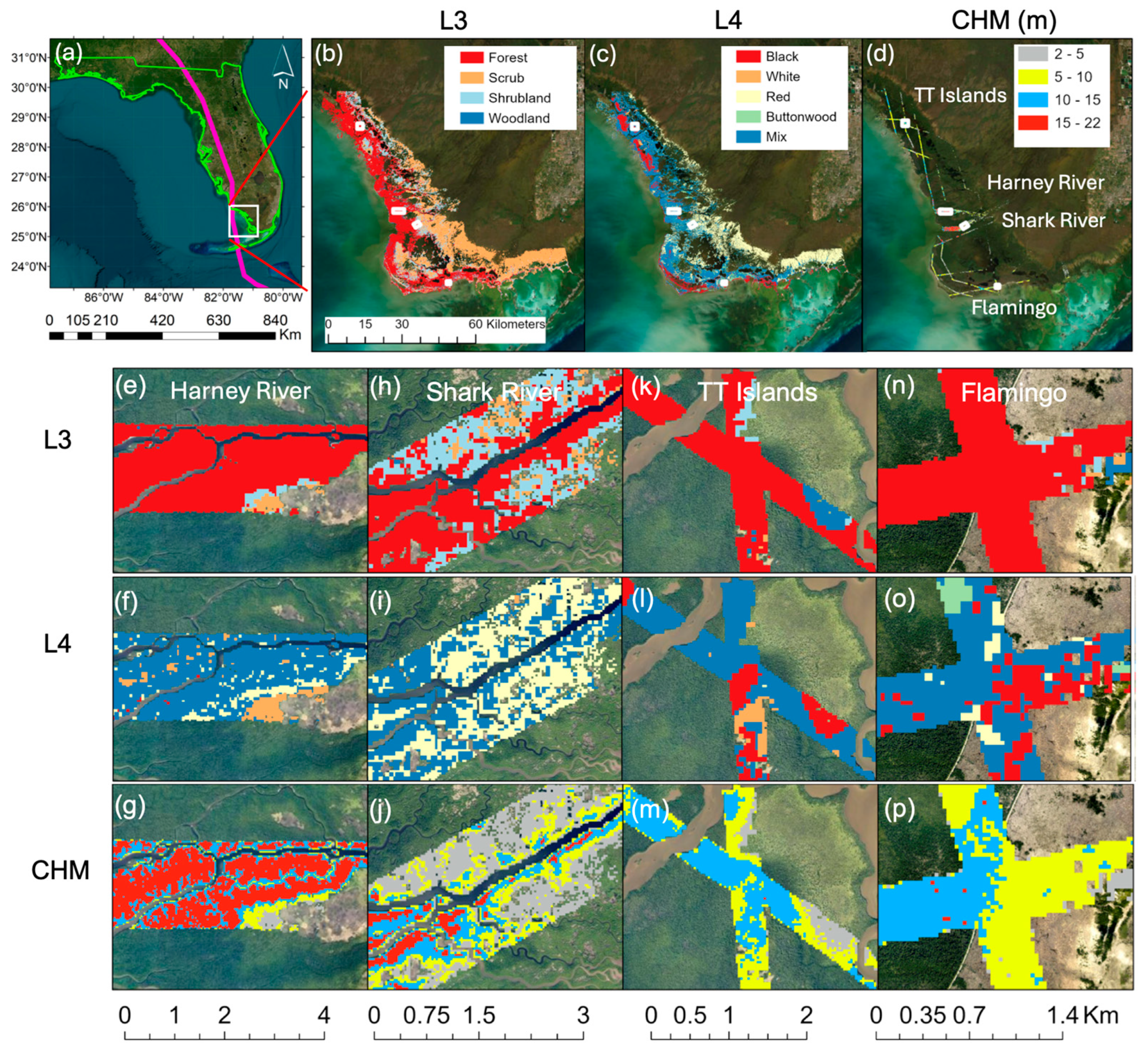 Remotesensing 16 03992 g001