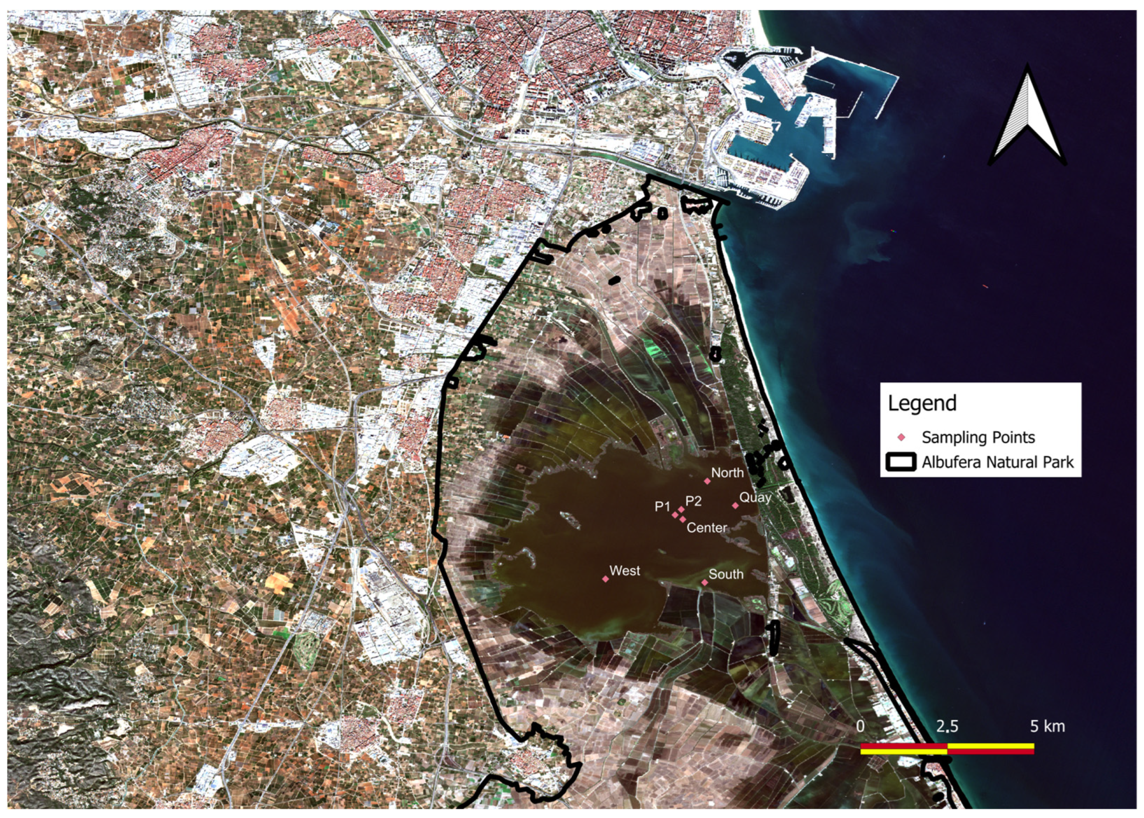 Remotesensing 16 04067 g002