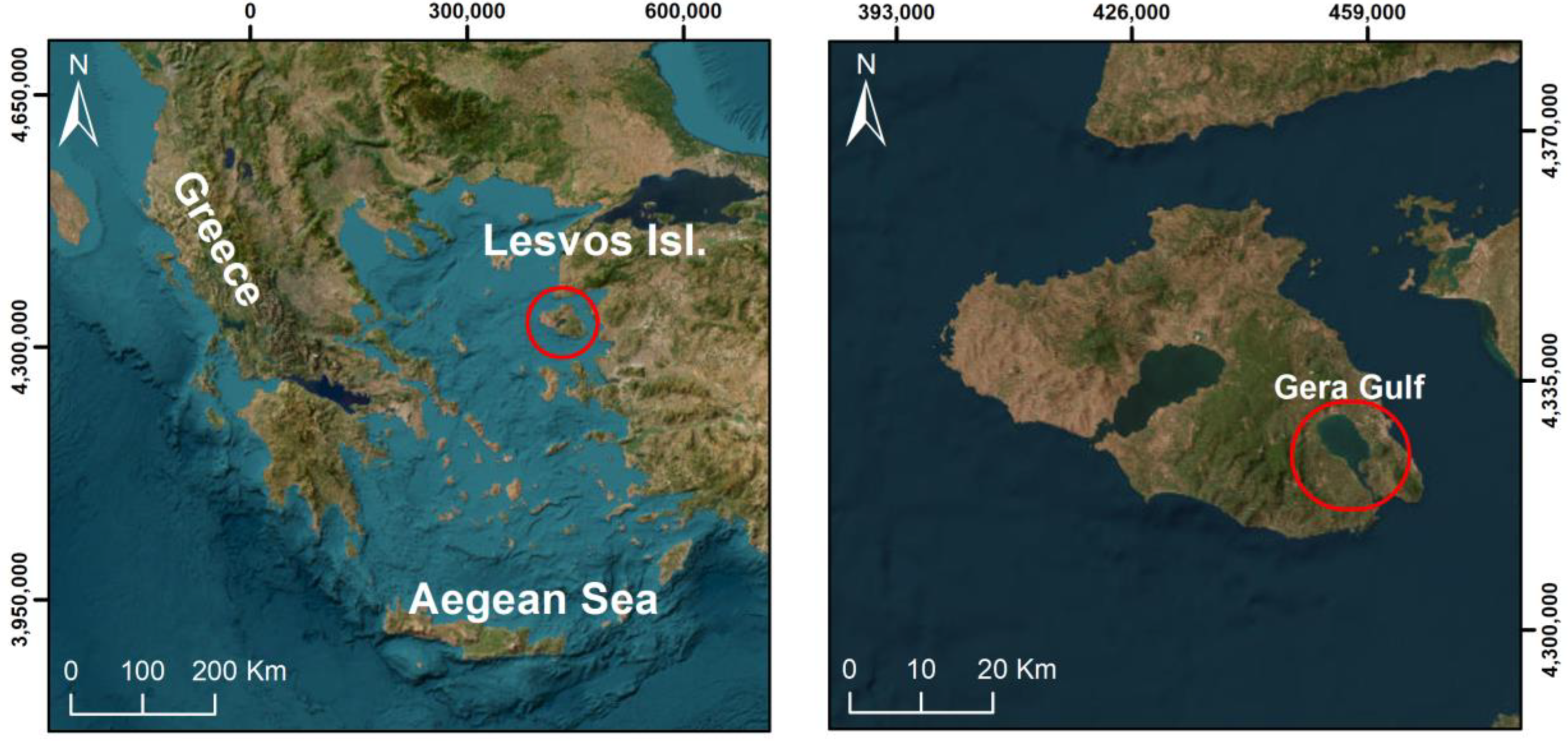 Remotesensing 16 04093 g001