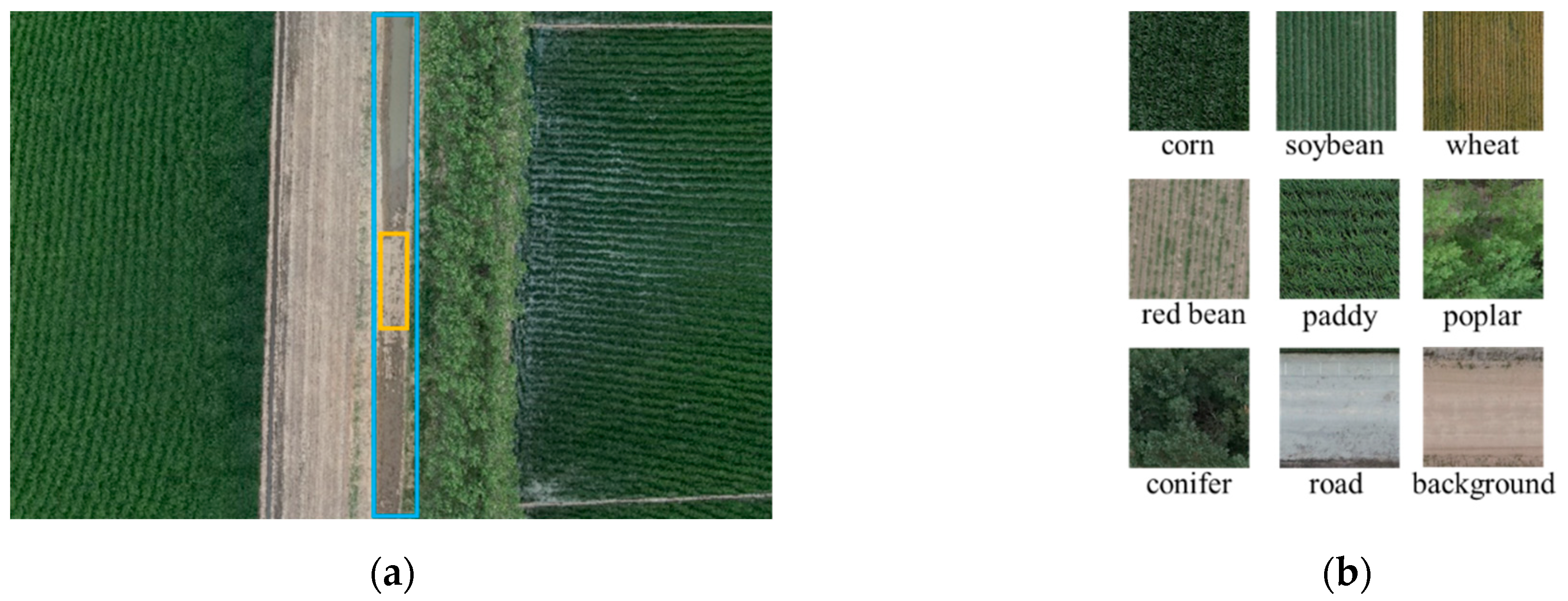 Remotesensing 16 04099 g006