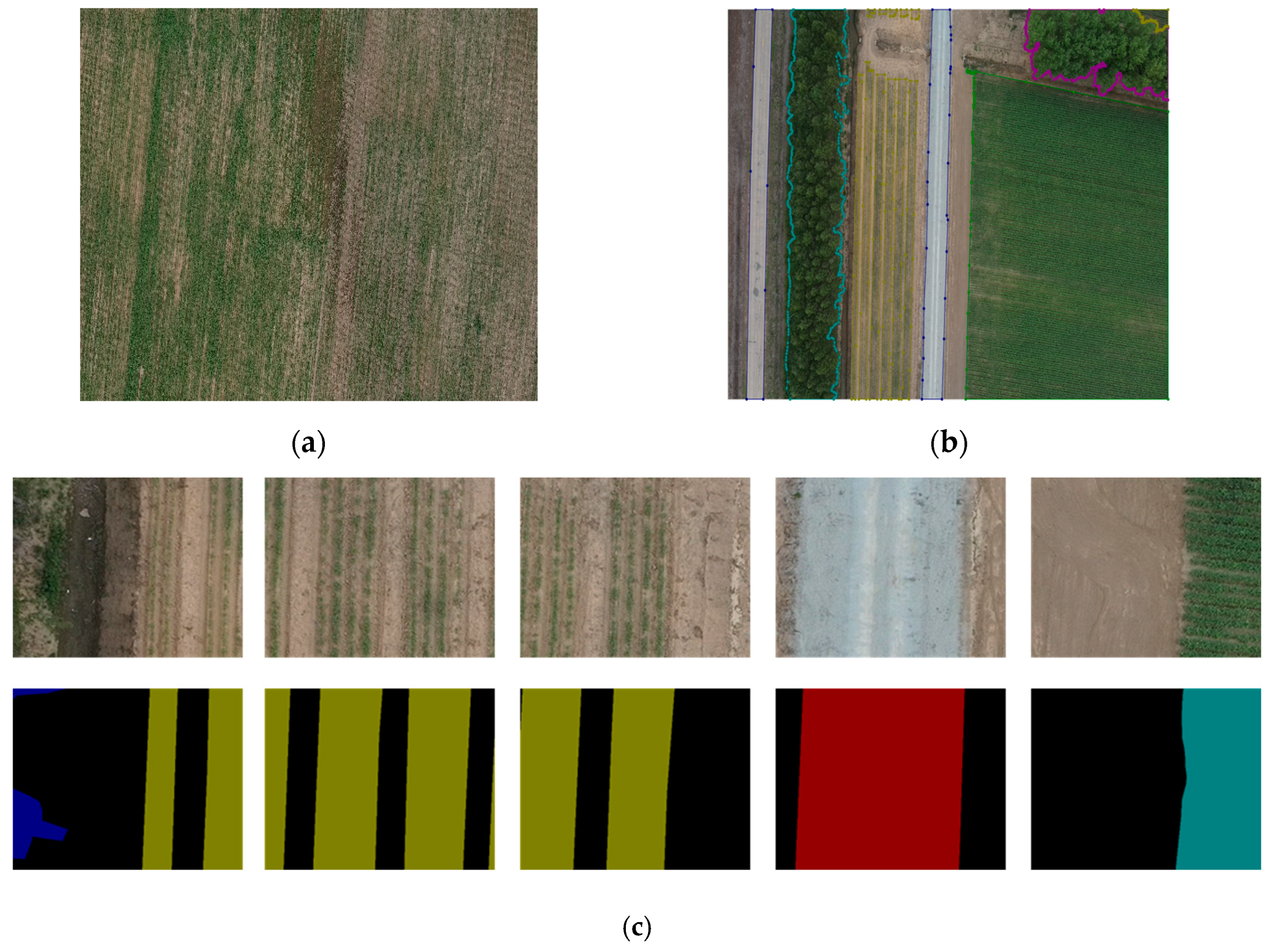 Remotesensing 16 04099 g008