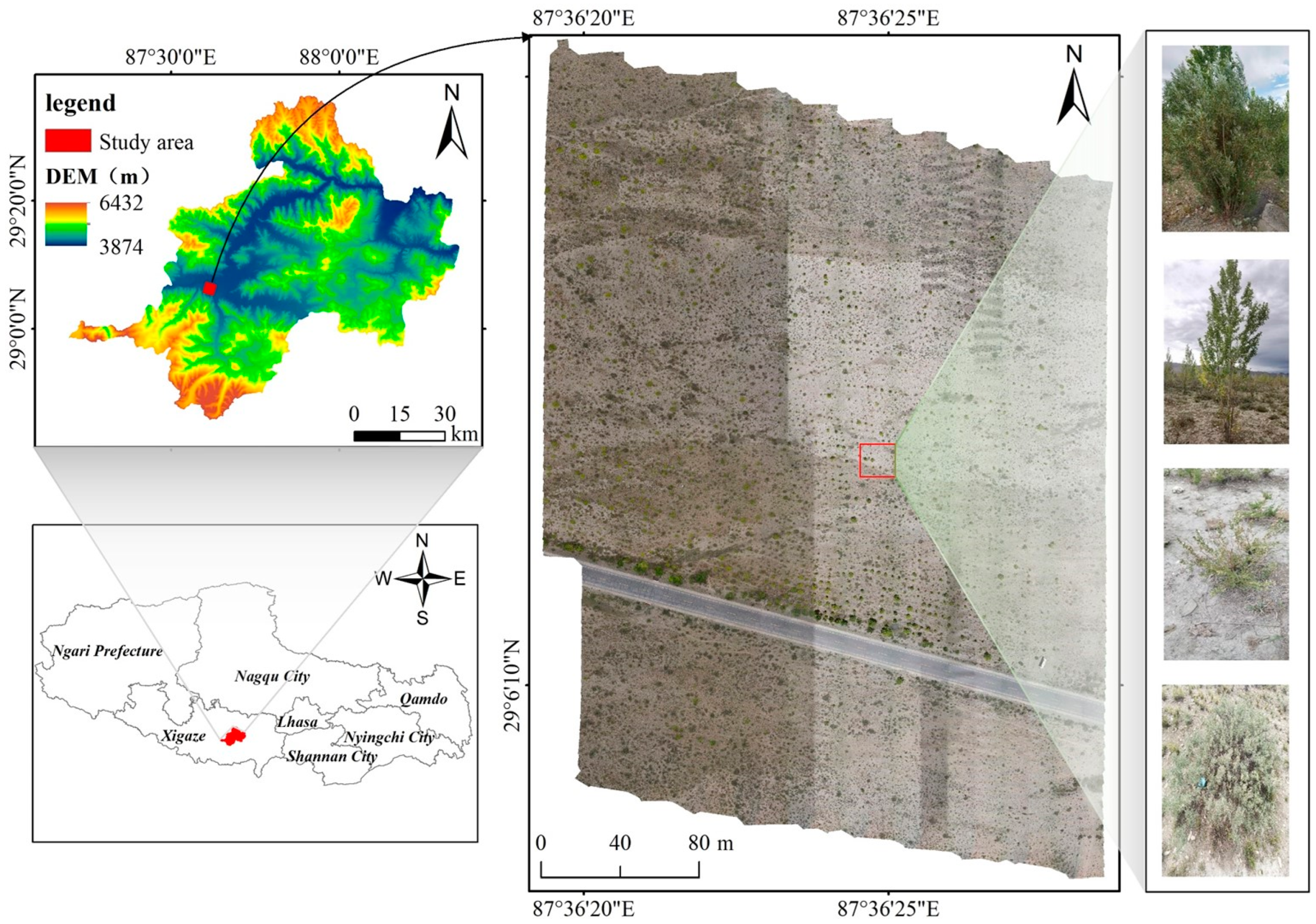 Remotesensing 16 04106 g001
