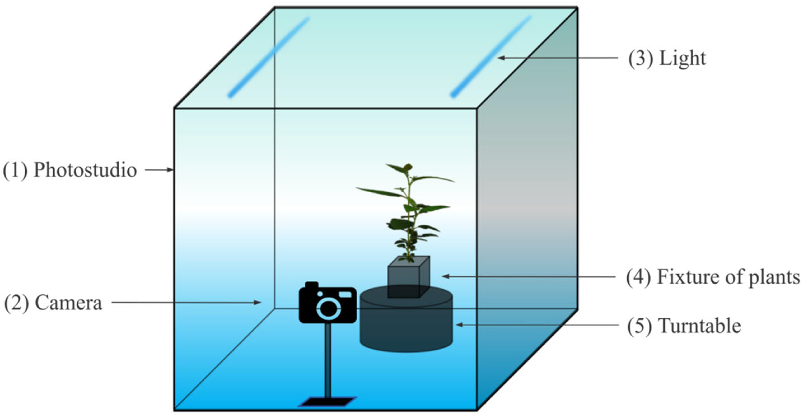 Remotesensing 16 04141 g001