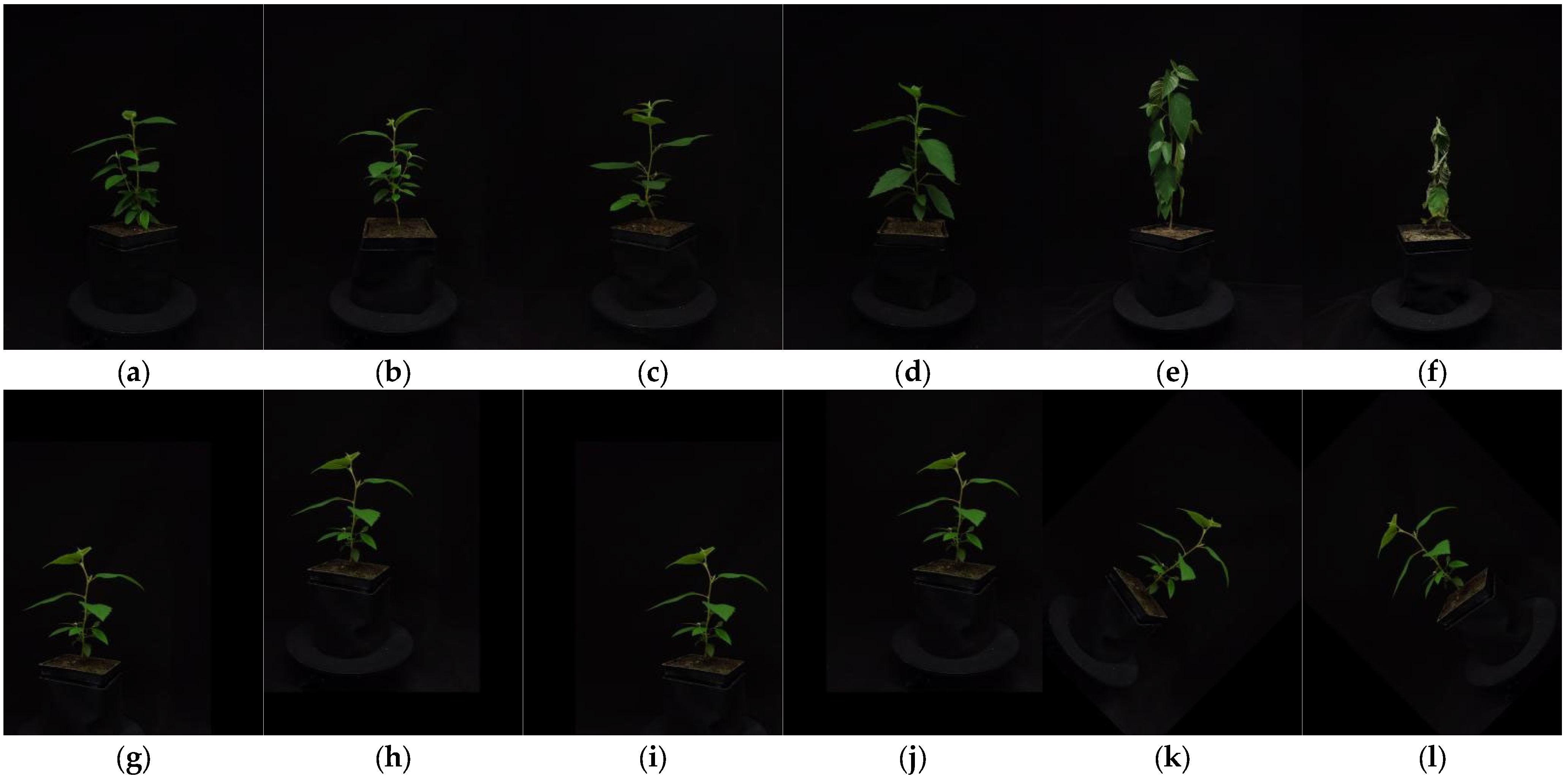 Remotesensing 16 04141 g002