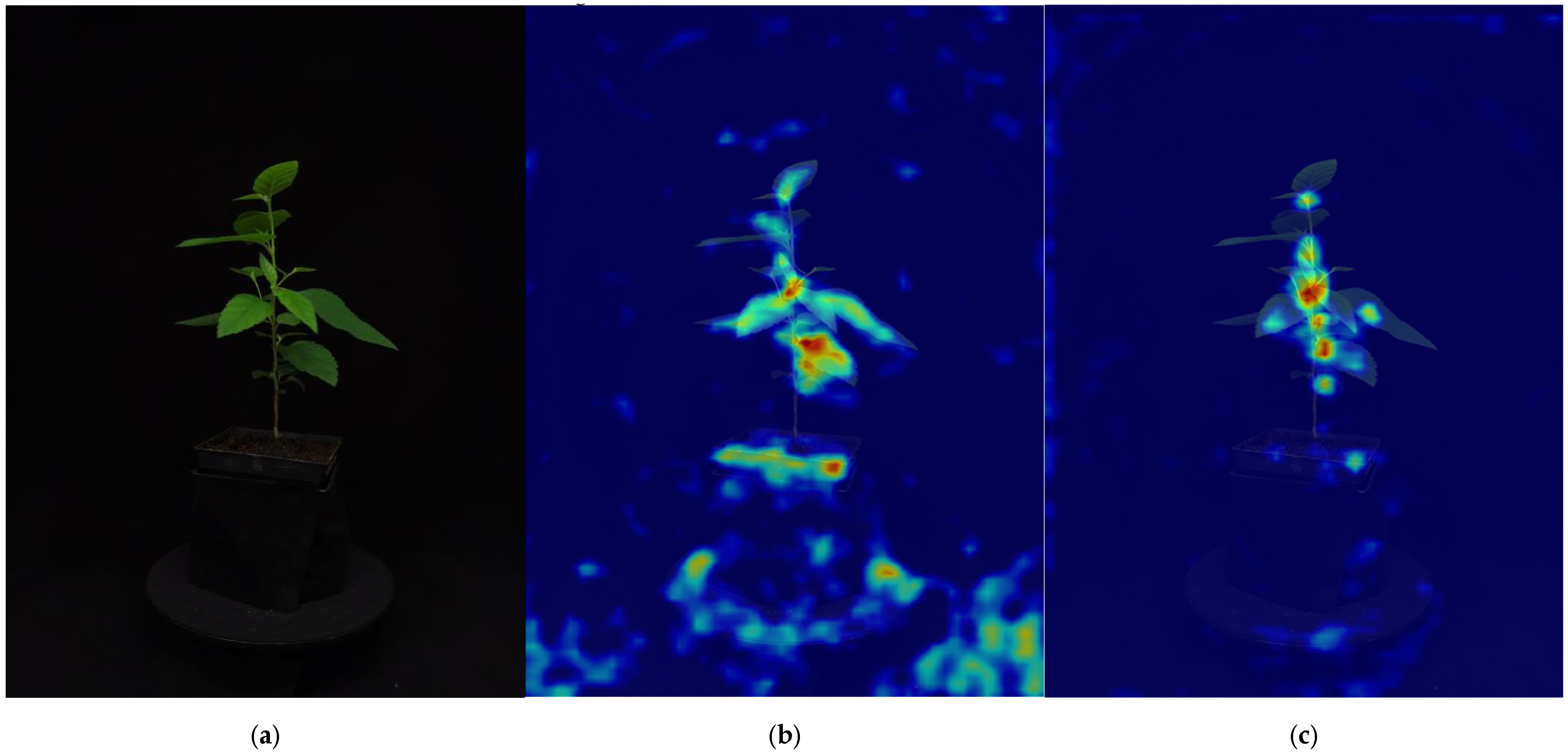 Remotesensing 16 04141 g010