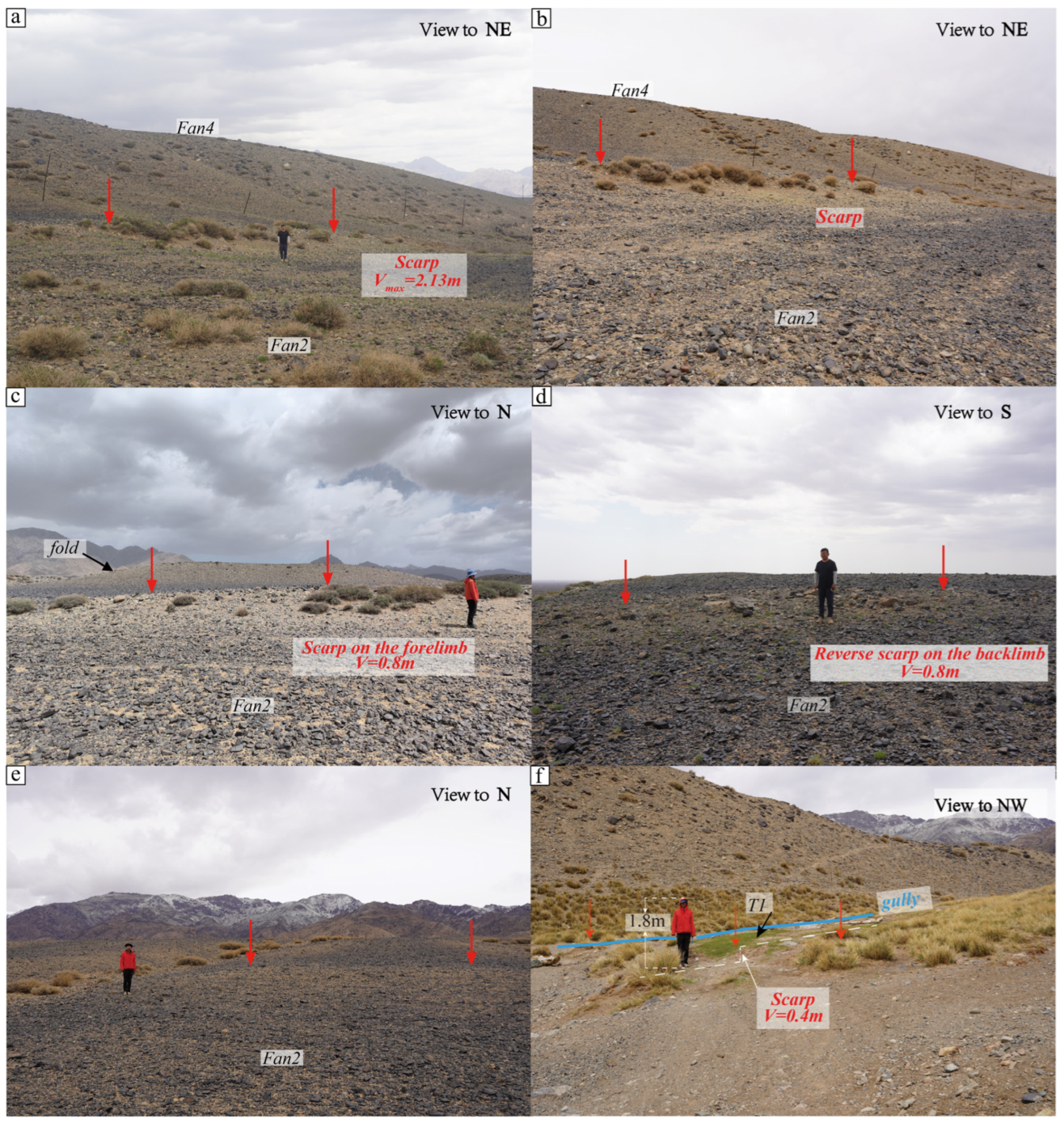 Remotesensing 16 04200 g008