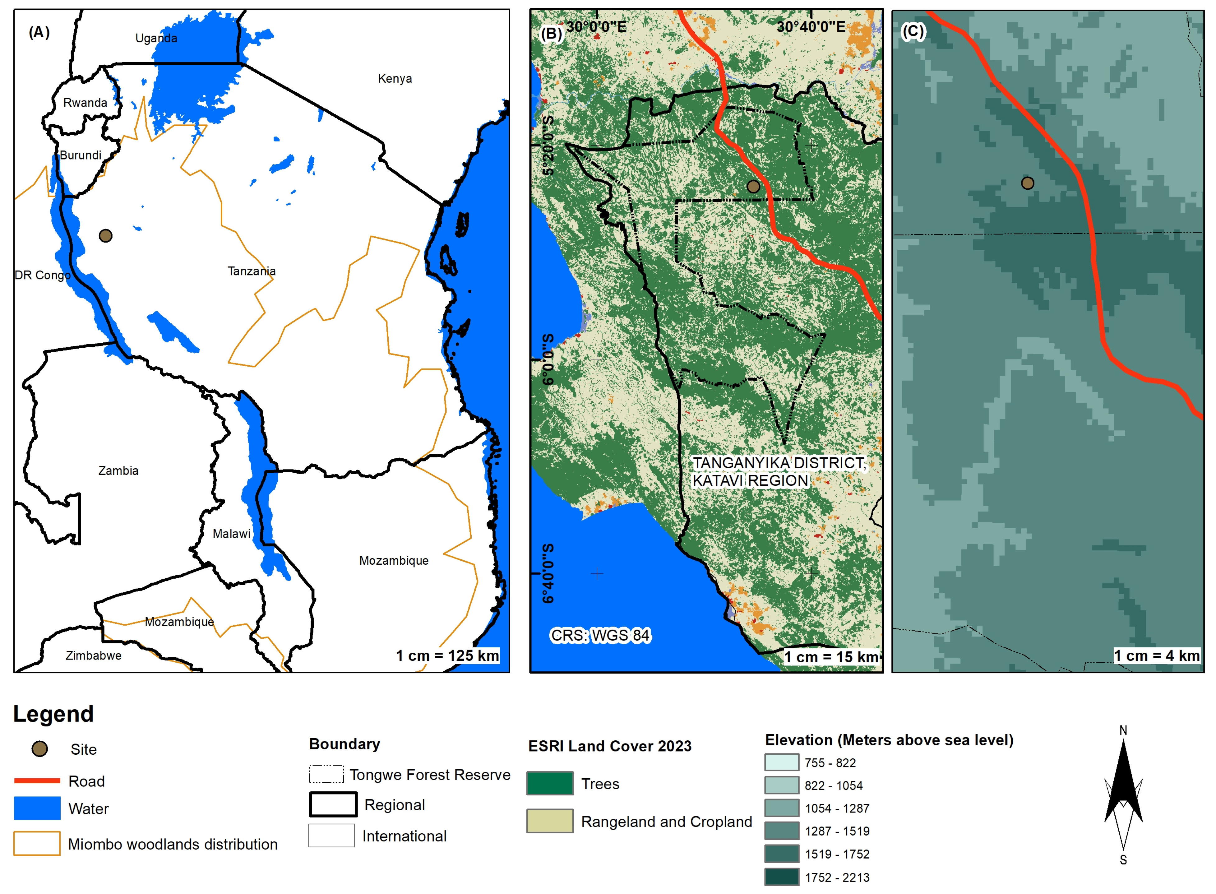 Remotesensing 16 04261 g001 Remotesensing 16 04261 g001